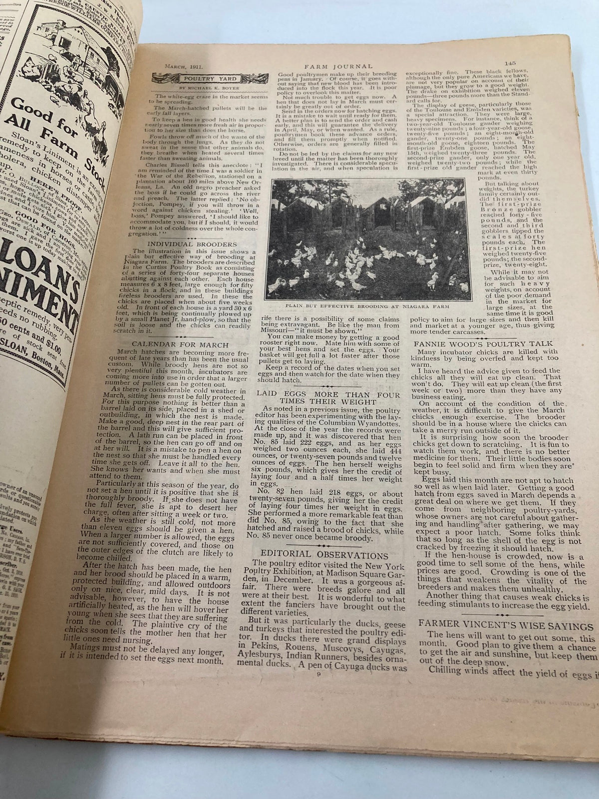 Interior page of VTG The Farm Journal Magazine March 1911 displaying articles and an image of poultry, central to farming practices.