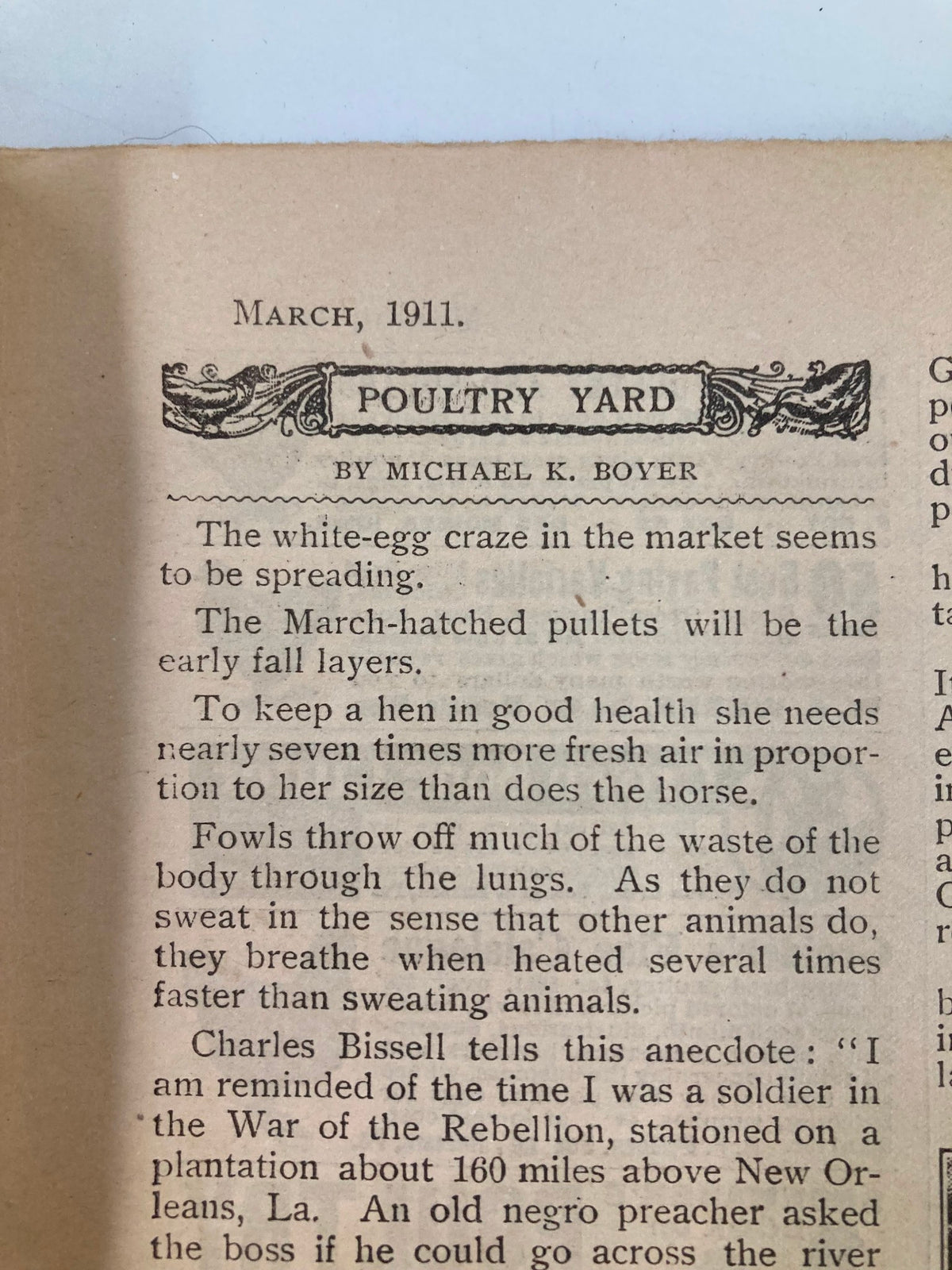 Poultry Yard section from VTG The Farm Journal Magazine March 1911, discussing poultry care and egg production.