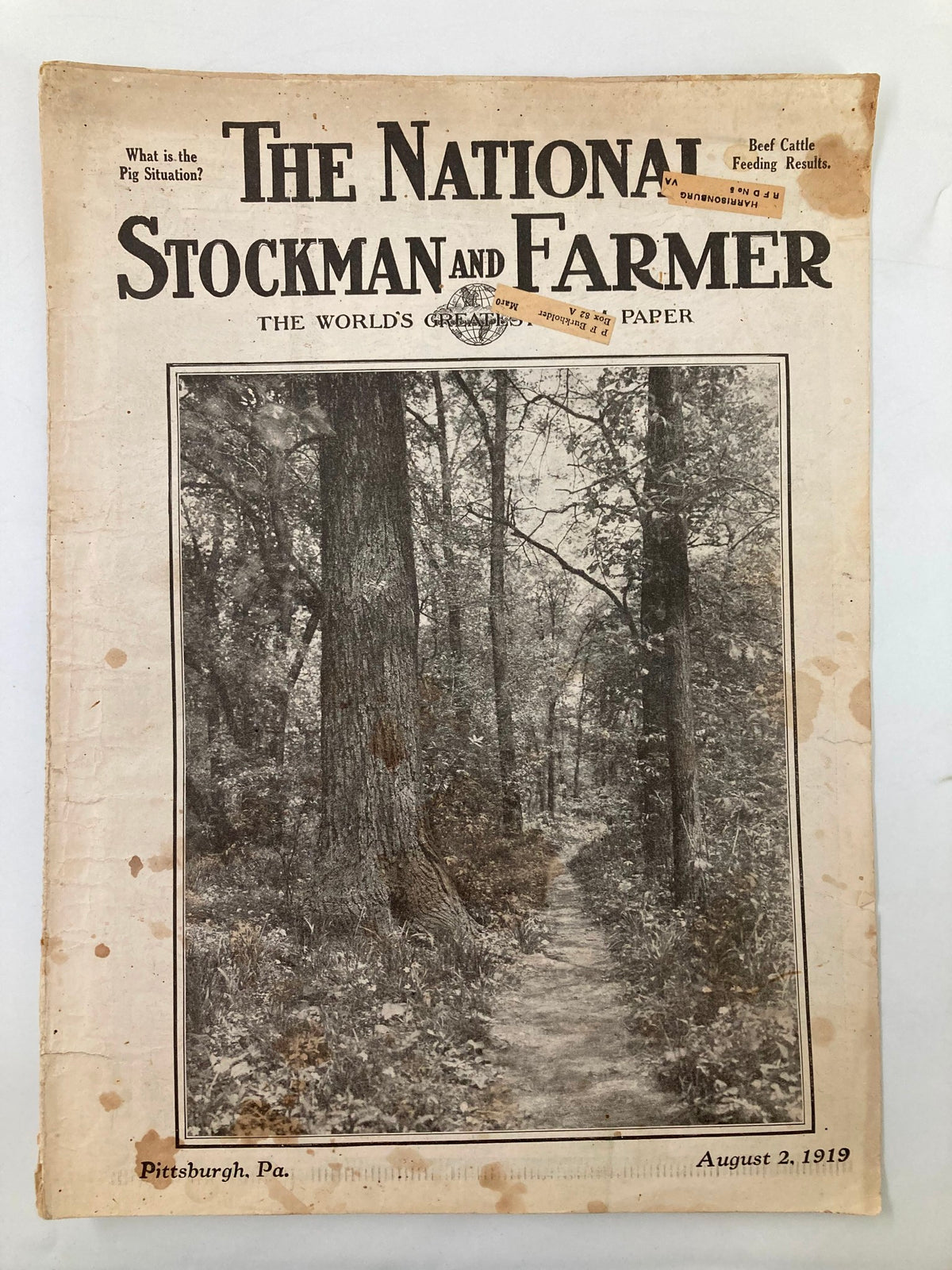 Vintage cover of The National Stockman and Farmer from August 2, 1919, featuring a scenic pathway landscape, highlighting agricultural history.