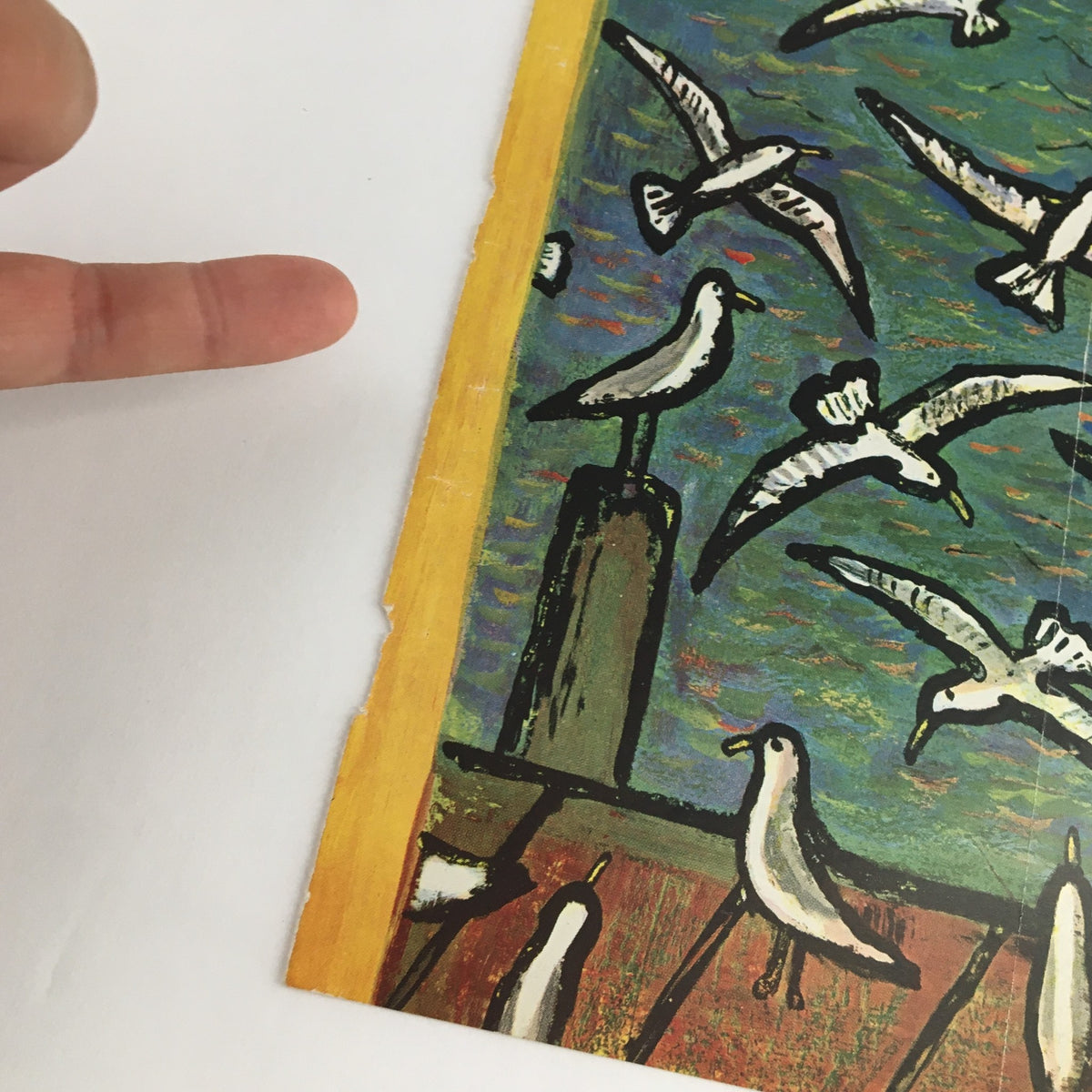 Cover image featuring seagulls in flight, highlighting the artwork by Abe Birnbaum for the magazine 'The New Yorker' from May 17, 1958. Ideal for collectors of vintage magazine covers.