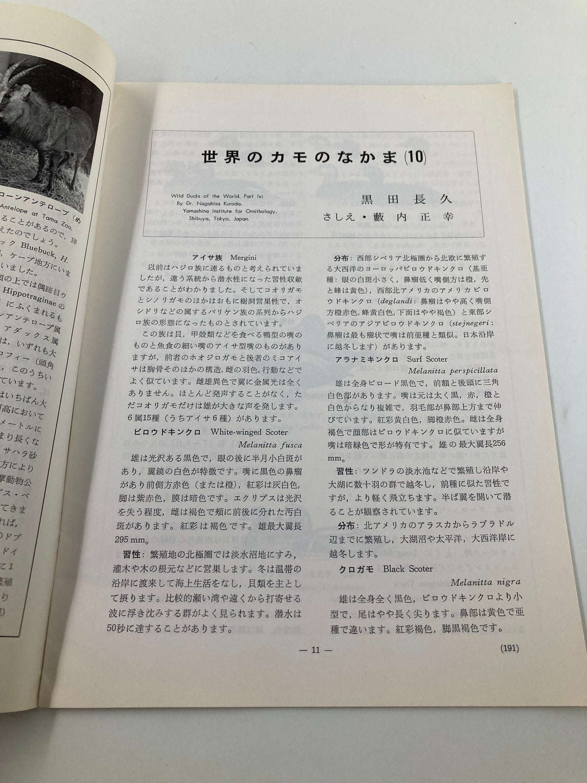 Article page from VTG Animals and Zoos Magazine 1972 Tokyo Zoological Park Society discussing wild ducks of the world, authored by Dr. Nagahiro Kuroda. The text and images provide insights into ornithology.