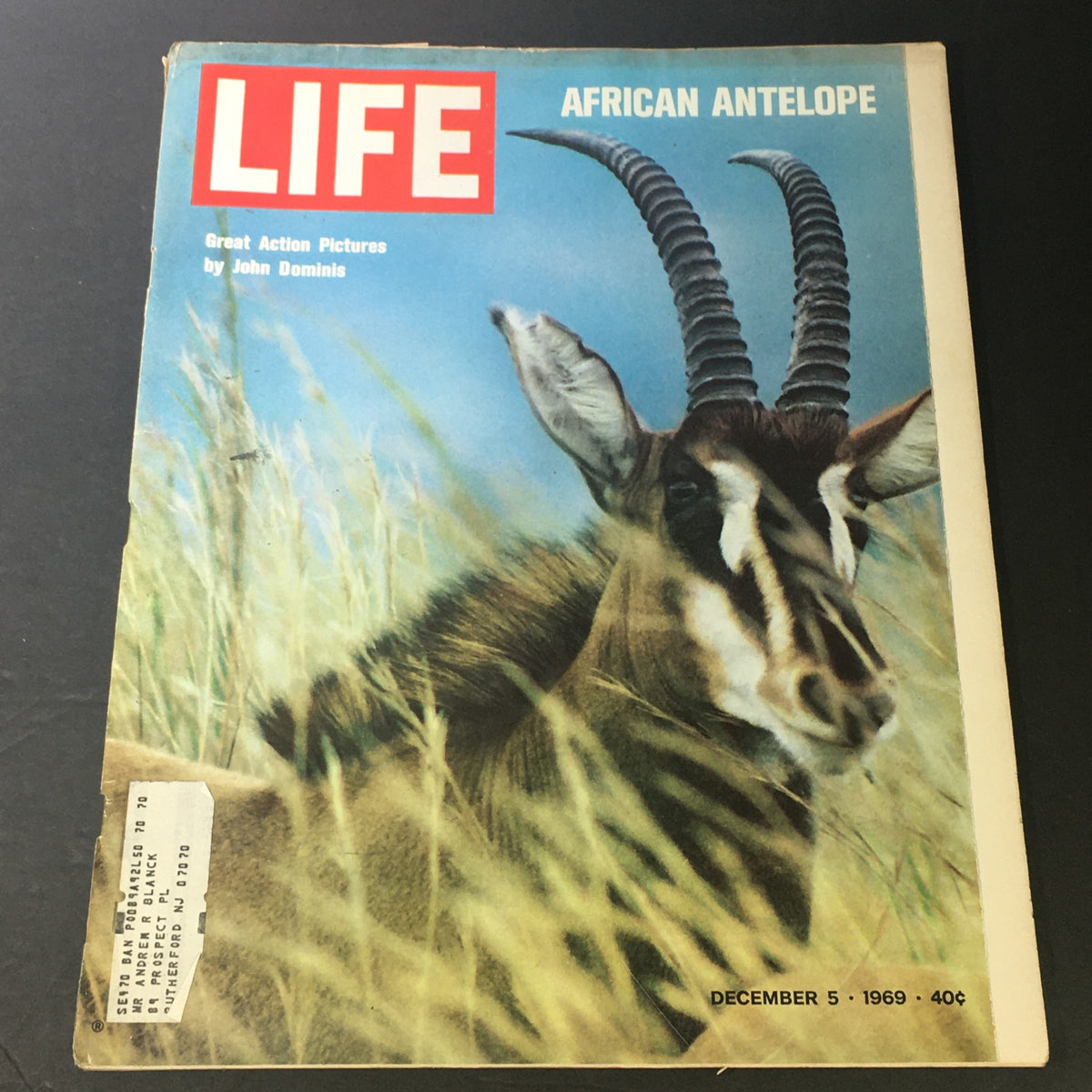 Cover of VTG Life Magazine December 5 1969 featuring a photo of an African Antelope by John Dominis, showcasing the natural beauty of wildlife.