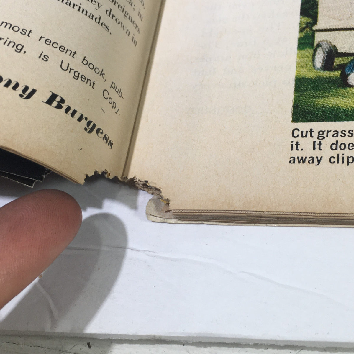 Another close-up image of the interior page of the vintage Life Magazine from October 10, 1969, showcasing additional wear and tear. The image features a finger pointing at the torn edge of the page, emphasizing the magazine's vintage condition while maintaining its place in historical commentary on the 1960s.