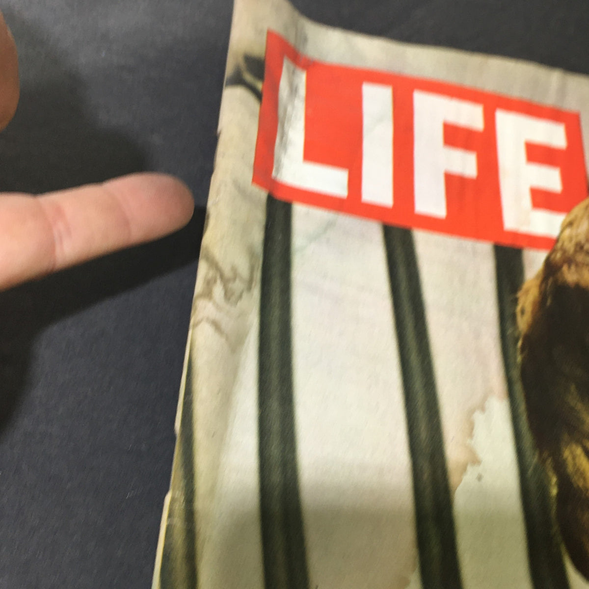 Close-up of the top corner of the May 14, 1971, Life Magazine with 'LIFE' logo, showing slight wear and an address label.