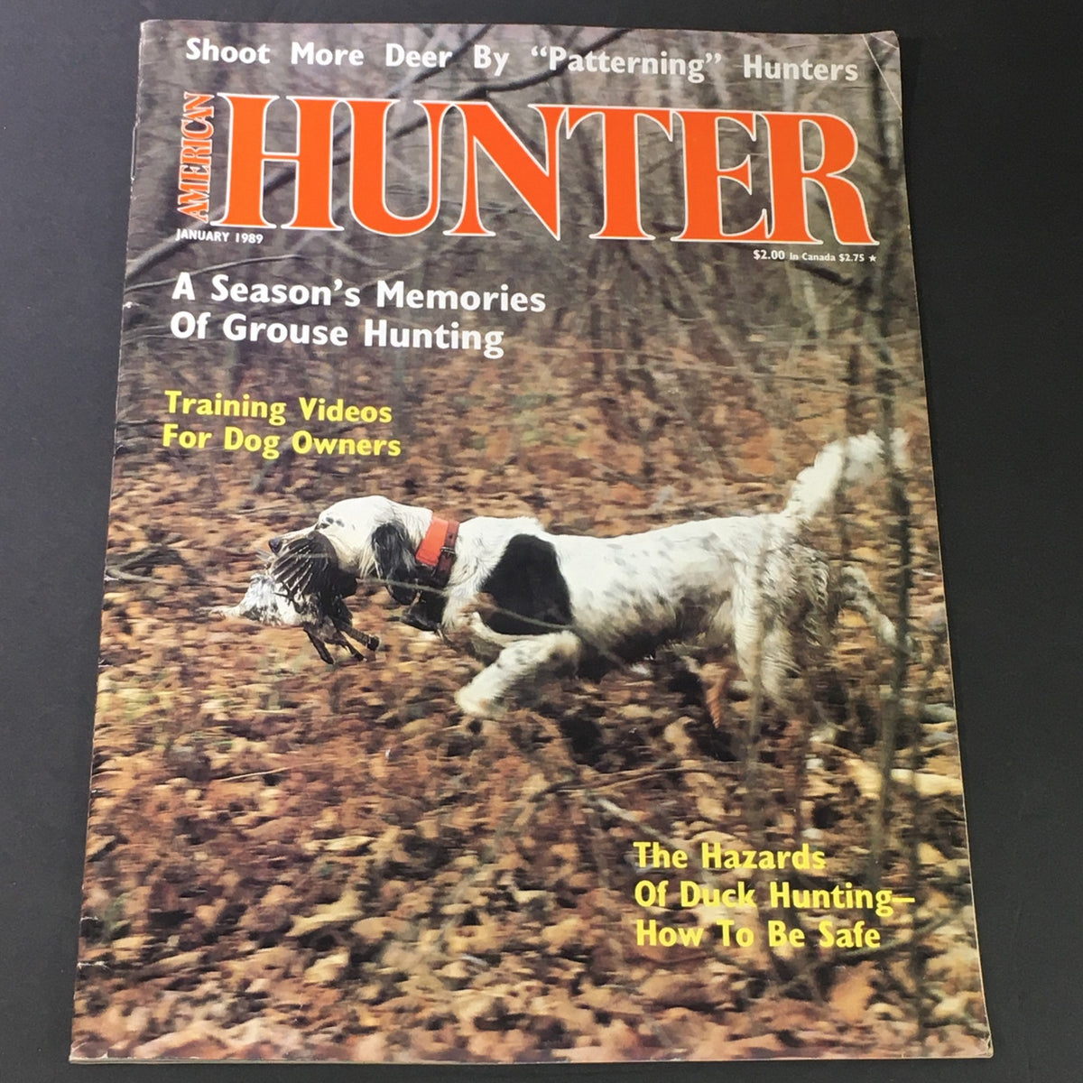 Cover of VTG African Hunter January 1989 featuring a hunting dog in action, highlighting memories of grouse hunting and duck hunting.