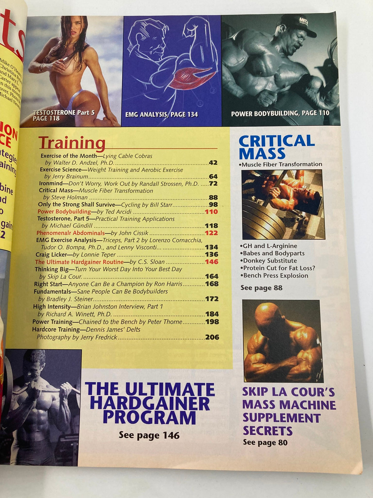 Ironman Magazine February 1999 training section with topics on effective bodybuilding exercises and scientific approaches to nutrition.