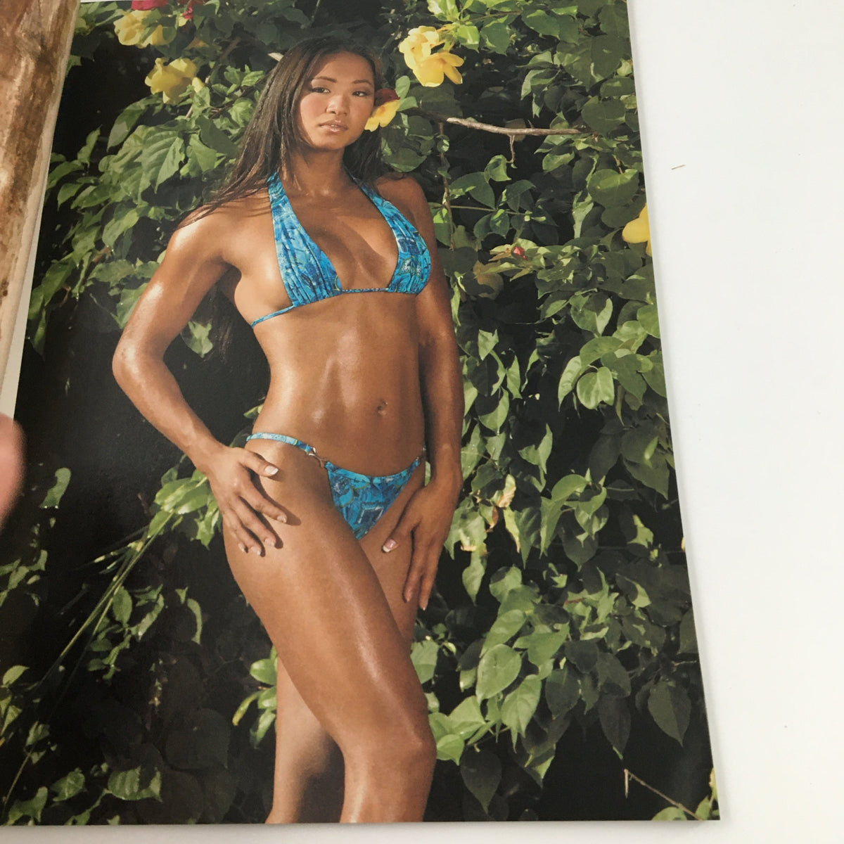 WWE Divas Magazine 2004 Torrie Wilson, Trish Cam, Miss Jackie - Model wearing a blue bikini and posing amidst lush green foliage.