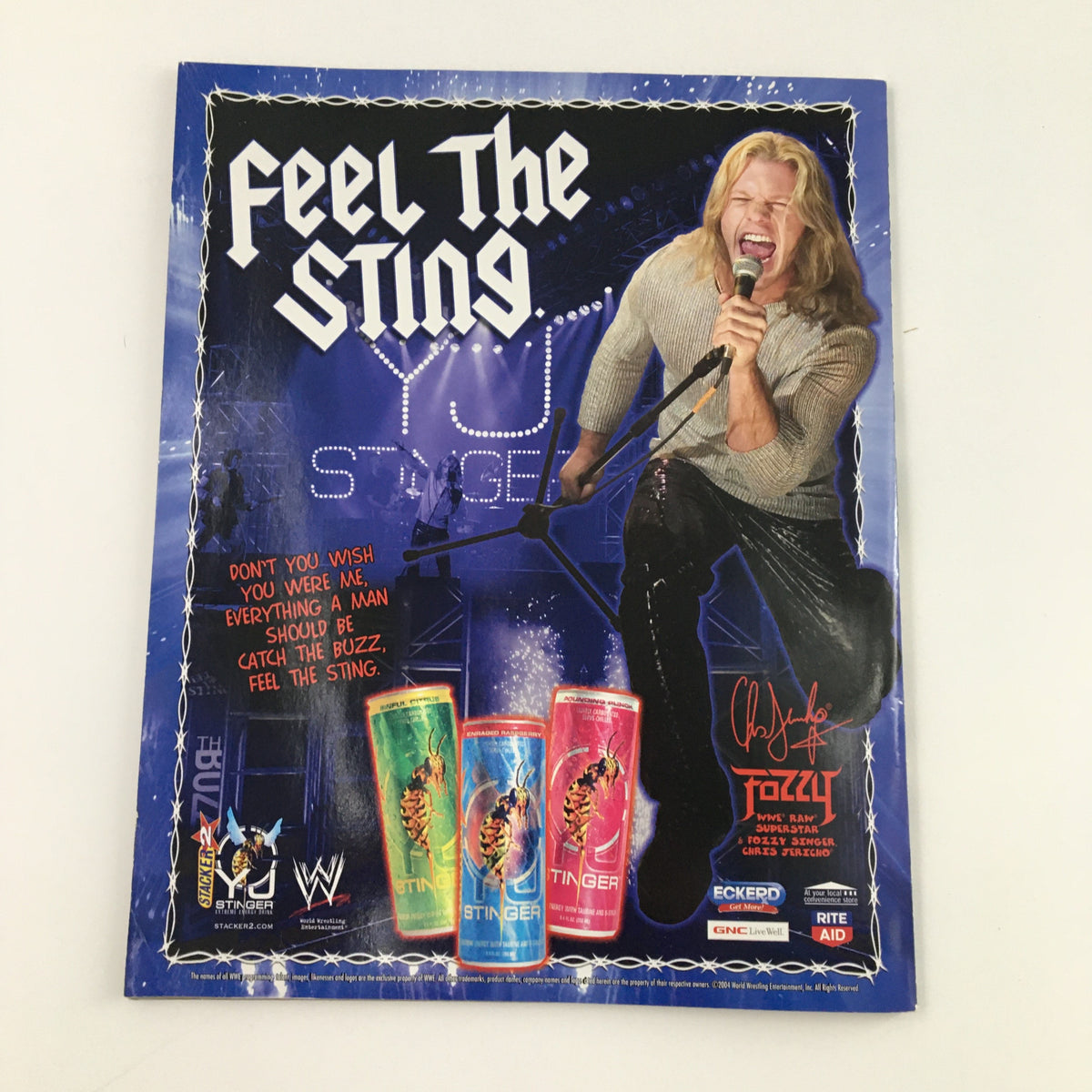 WWE Divas Magazine 2004 promotional page featuring Chris Jericho performing on stage, connected to the wrestling world of Torrie Wilson and Trish Cam.