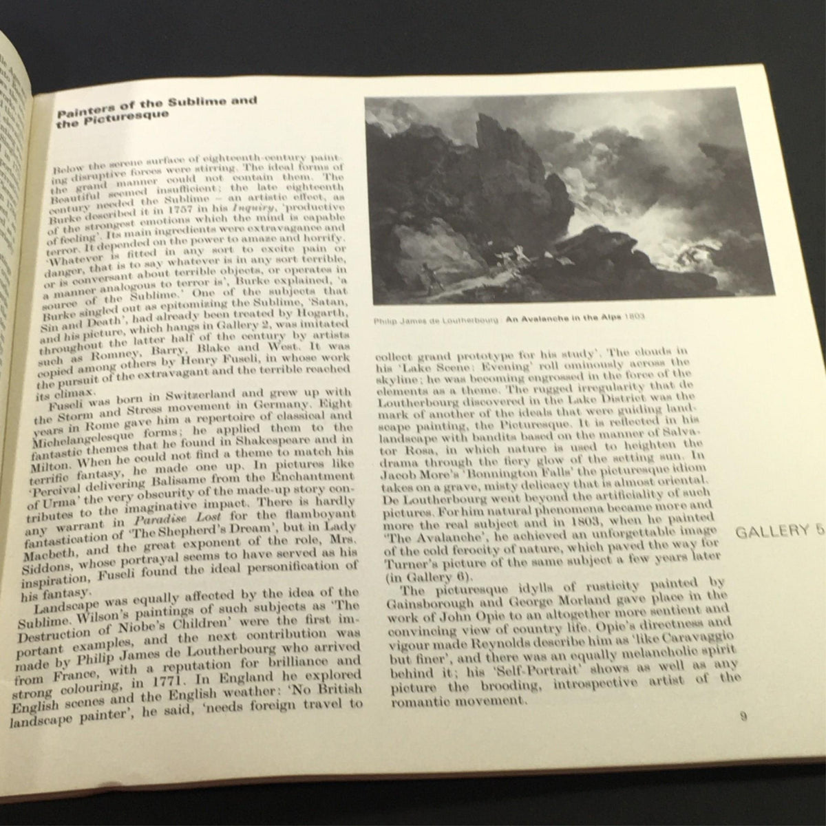 Text discussing 'Painters of the Sublime and the Picturesque' from the VTG 1970 Official Guide to the Tate Gallery.