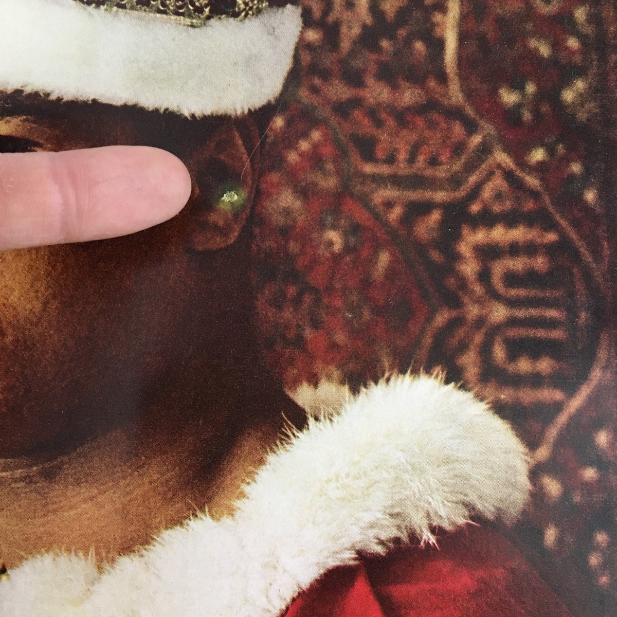 Close-up detail showing an ear and fur trim from the iconic Sports Illustrated Magazine May 5 1969 Muhammad Ali - Cassius Clay Future King.