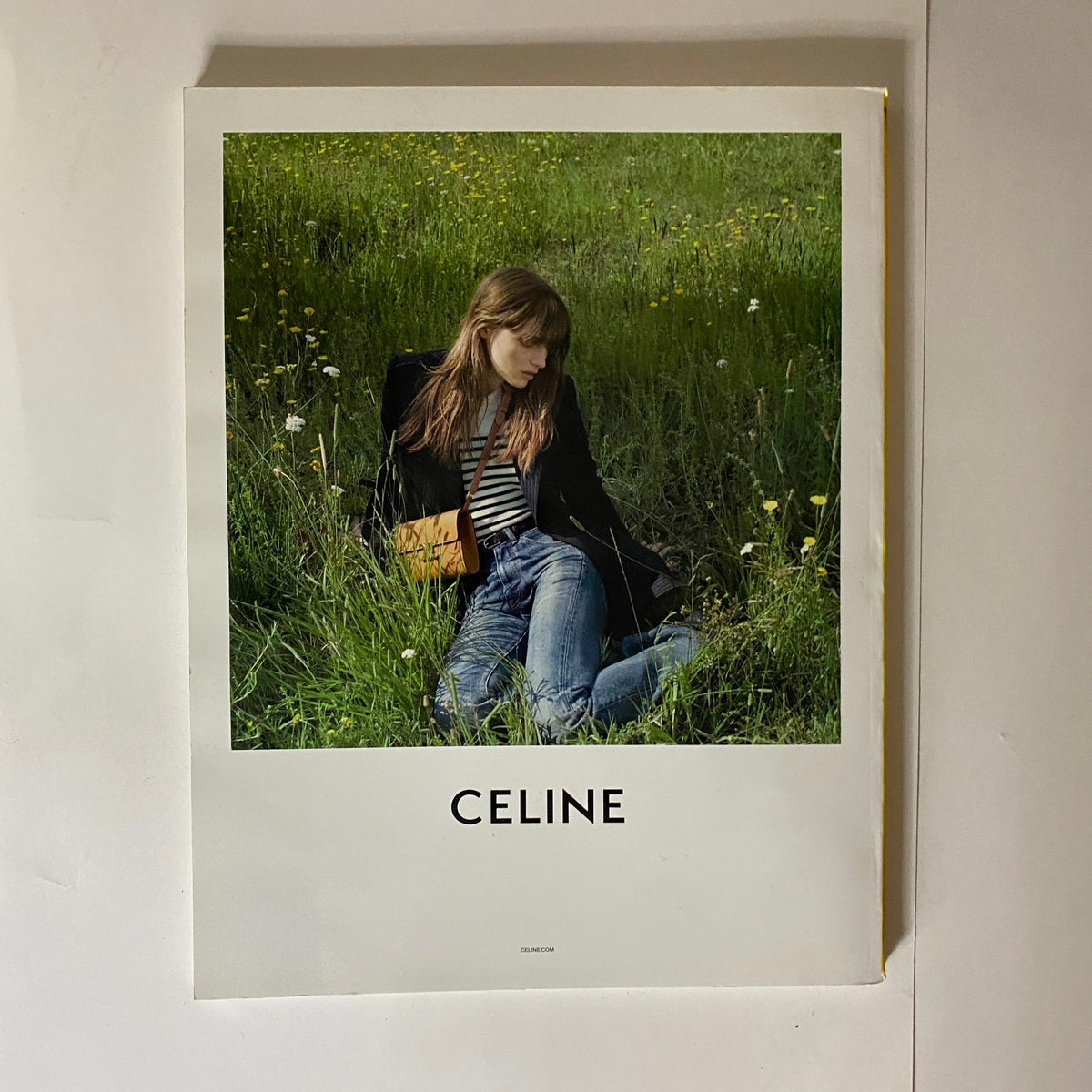 A stylish advertisement from W Magazine 2020 Volume 4 featuring a model sitting in a grassy field, promoting Celine products with a casual yet chic aesthetic.