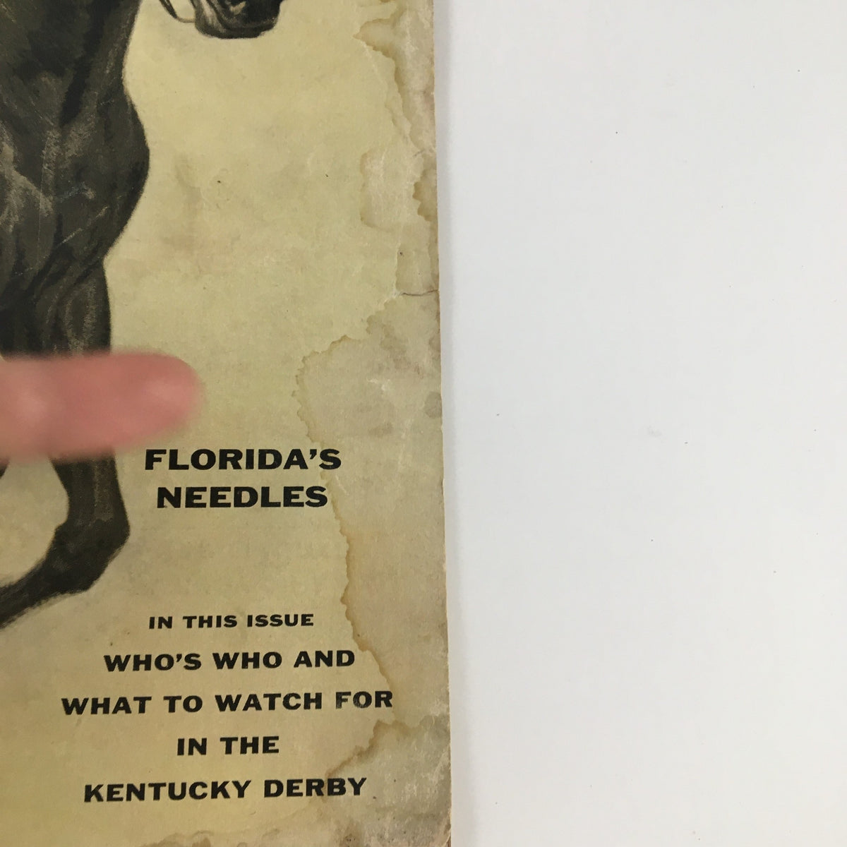 Close-up of Sports Illustrated Magazine cover dated May 7, 1956, highlighting the title 'Florida's Needles' and mentioning topics including the Kentucky Derby.