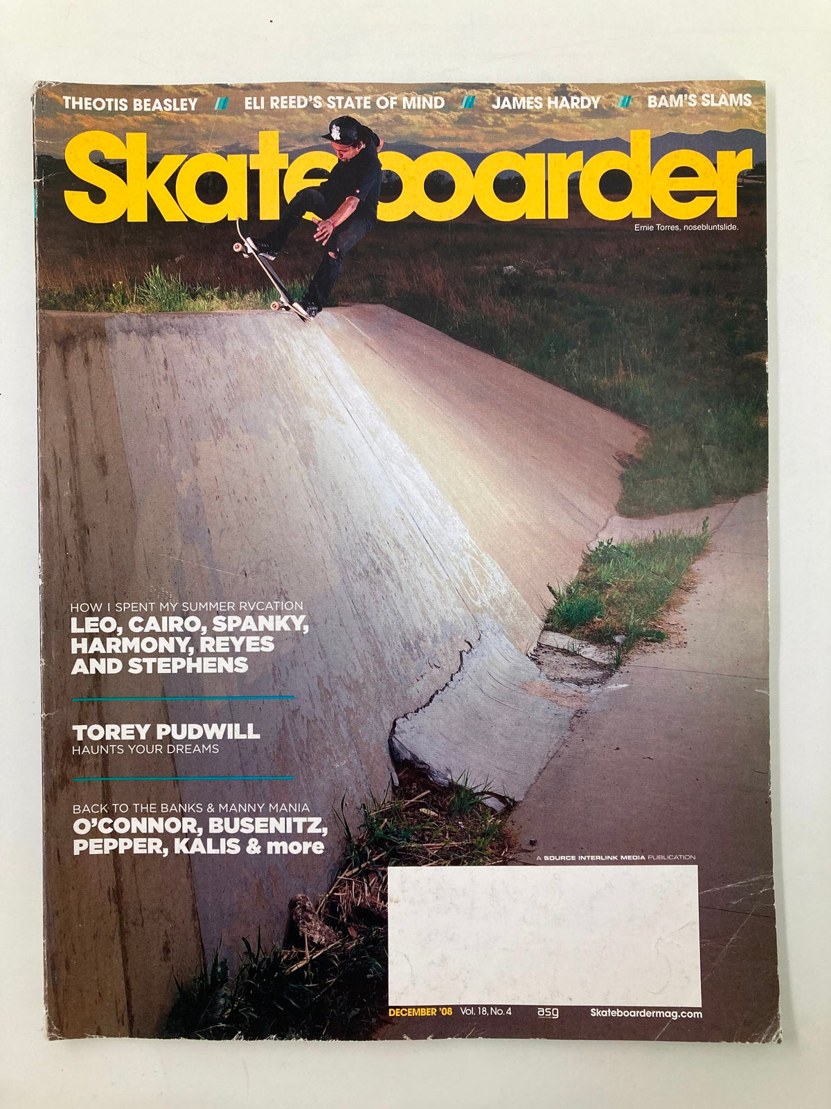 Cover of Skateboarder Magazine December 2008 Vol 18 #4 featuring skateboarder Ernie Torres performing a nosebluntslide on a ramp, showcasing the dynamic skate culture of 2008.