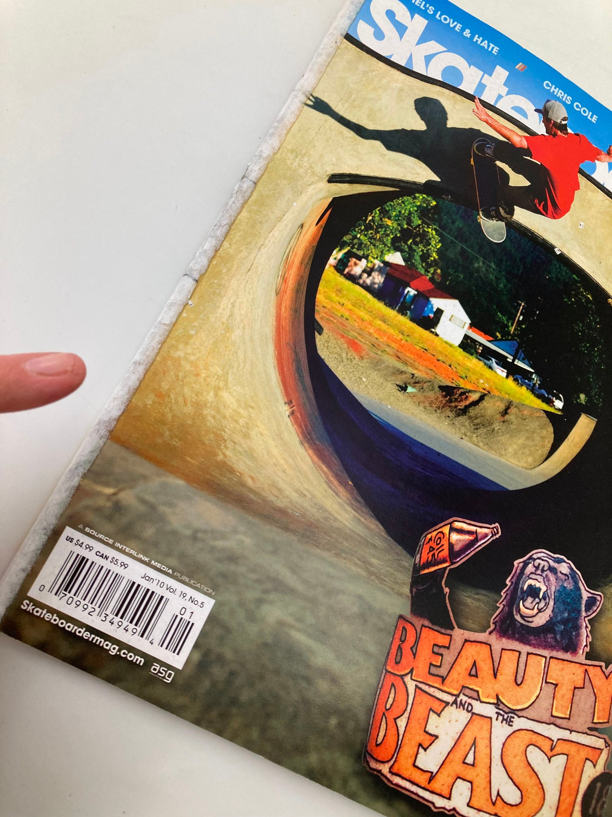 Close-up view of the back cover of Skateboarder Magazine January 2010, displaying the design elements including the phrase 'Beauty and the Beast' and a skater in action.