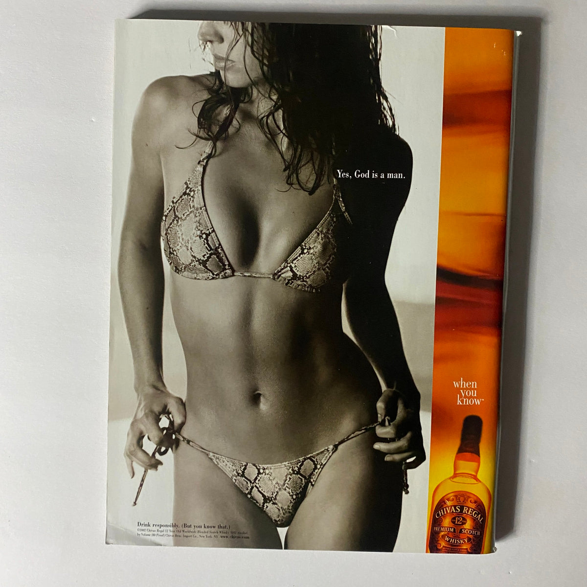 Back cover of Sports Illustrated Magazine Winter 2002 showcasing an advertisement with a model in a snake print bikini, emphasizing a bold, provocative aesthetic.