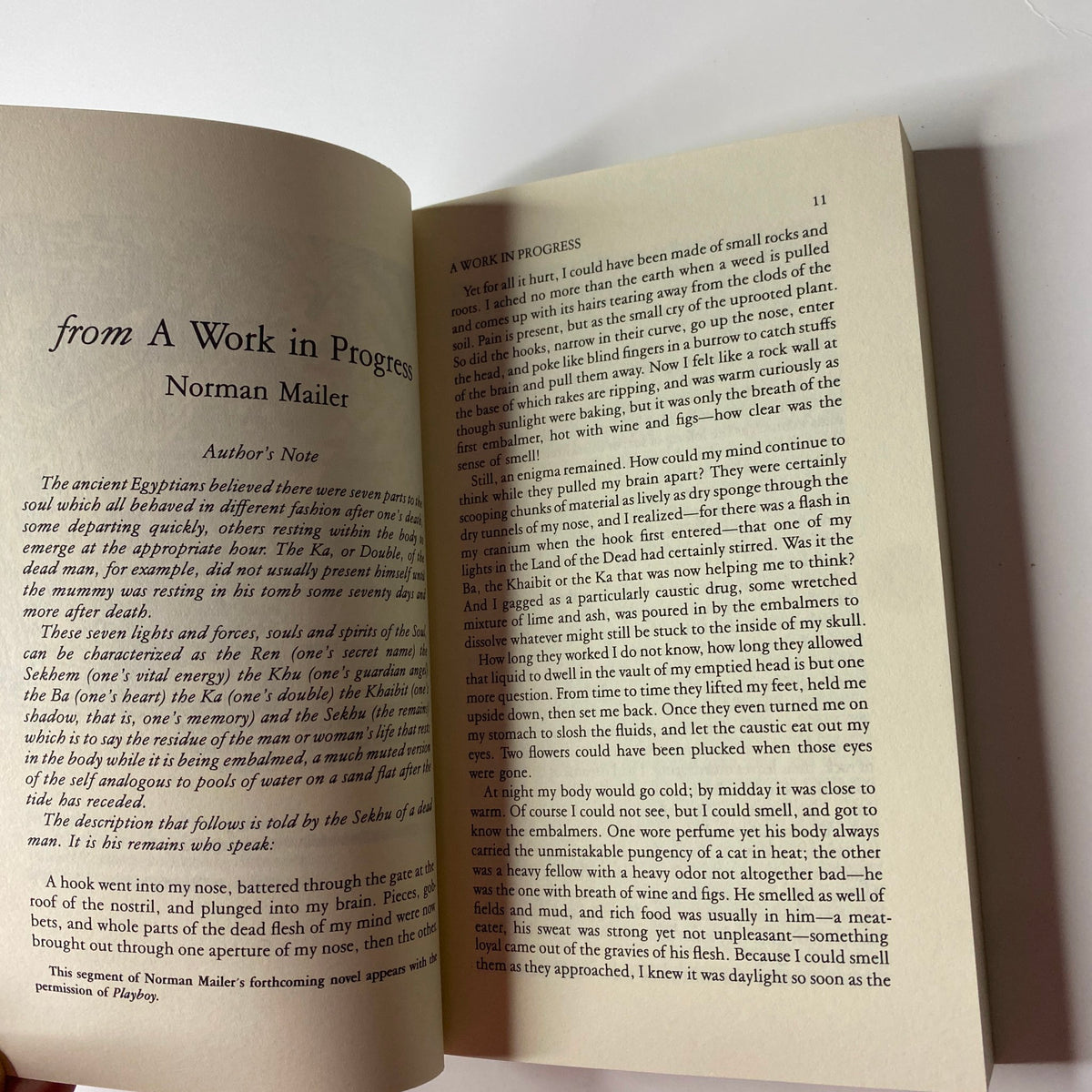 An excerpt from The Paris Review Magazine Spring 1982 No. 86, showcasing Norman Mailer's work titled 'From A Work in Progress,' with text detailing the author's thoughts on creativity.