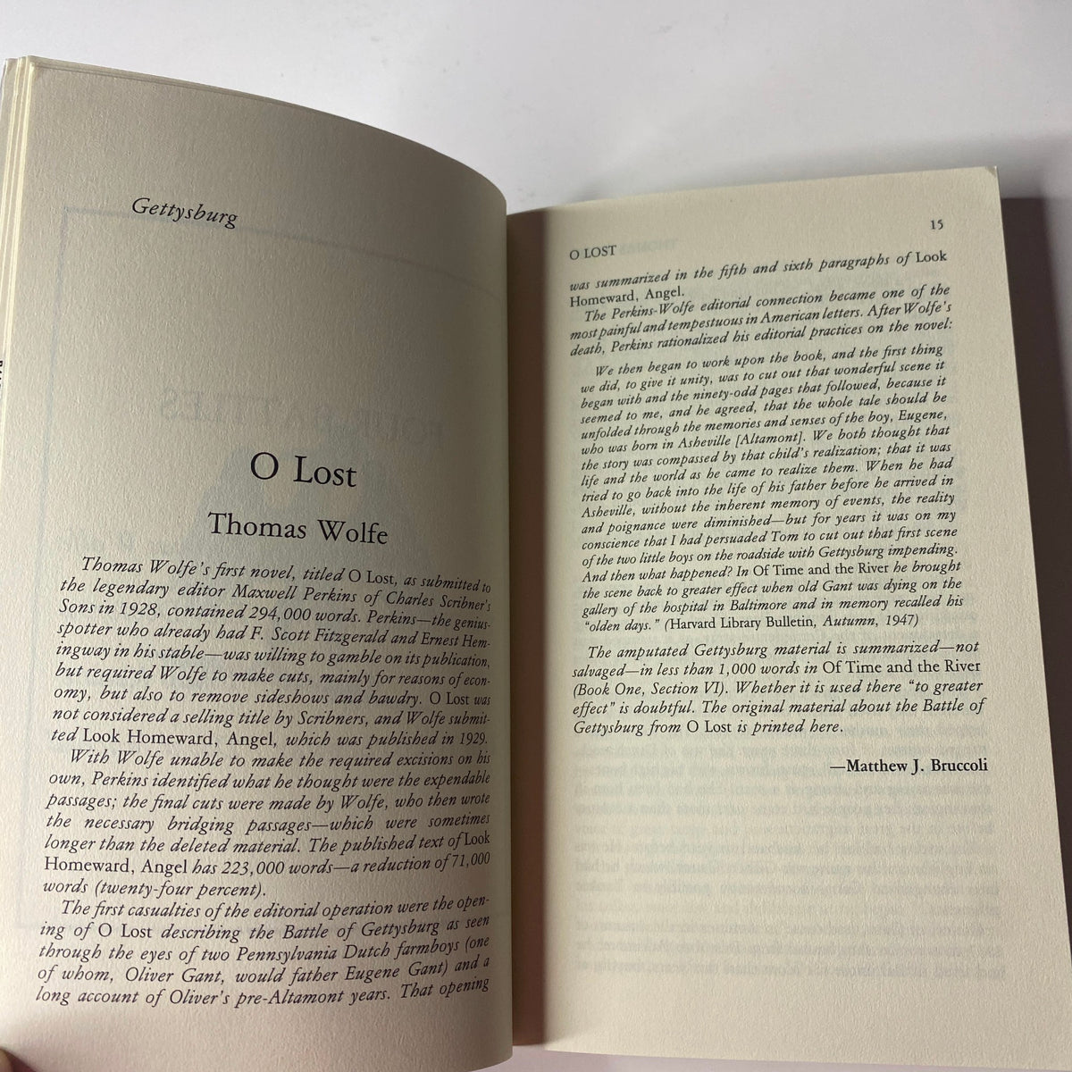 Interior page of The Paris Review Magazine Winter 1999-2000 No. 153 showcasing an excerpt from Thomas Wolfe's work 'O Lost'.