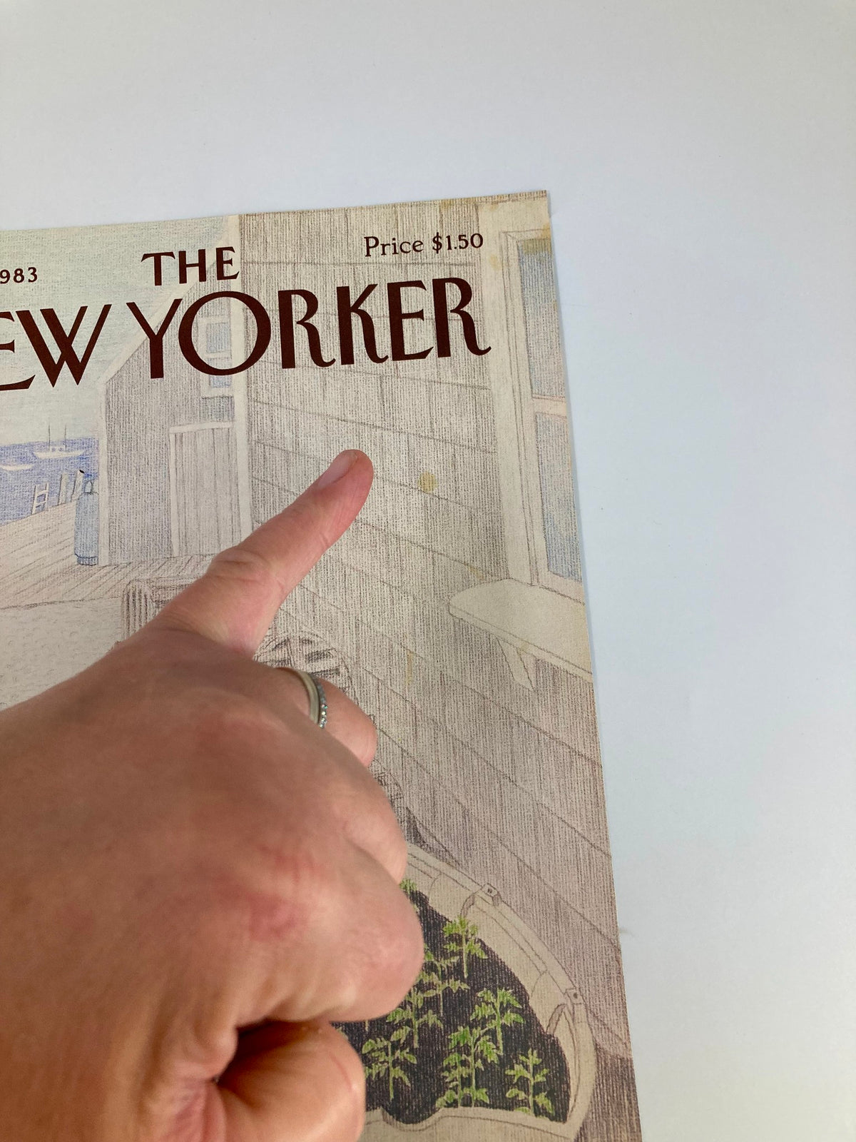 Close-up of The New Yorker magazine cover from July 11, 1983, highlighting 'Jessica's Plant' artwork by Charles E. Martin, with a hand pointing to the magazine's price and details.