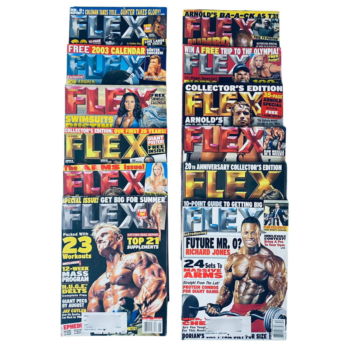 Lot of 12 Flex Magazine 2003 Full Year January to December - Covers showcasing bodybuilding content, featuring fitness stars and workout routines.