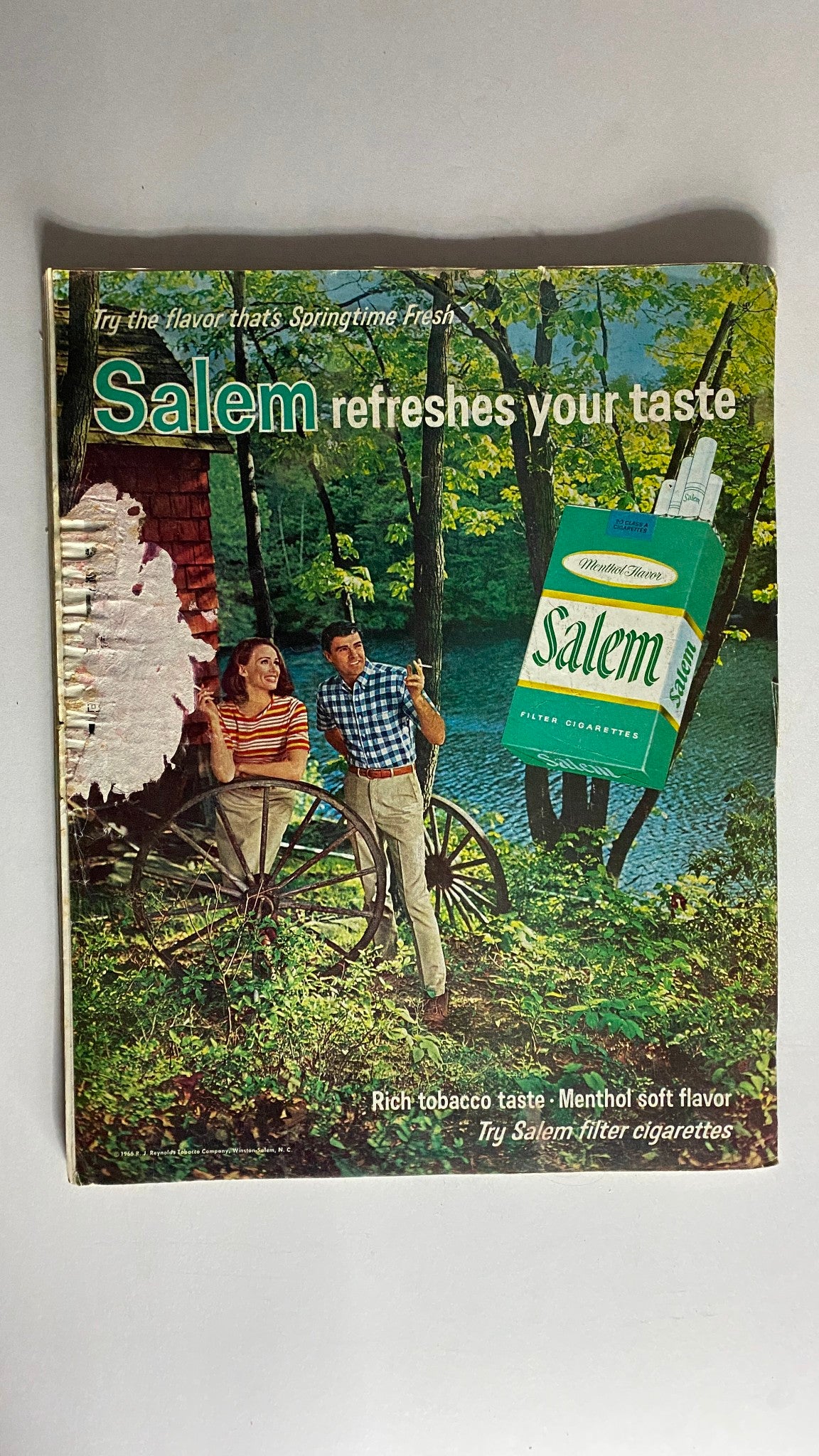 Cover of VTG American Home Magazine Summer 1967 featuring a couple in a garden setting, promoting Salem cigarettes with the tagline 'Salem refreshes your taste'.