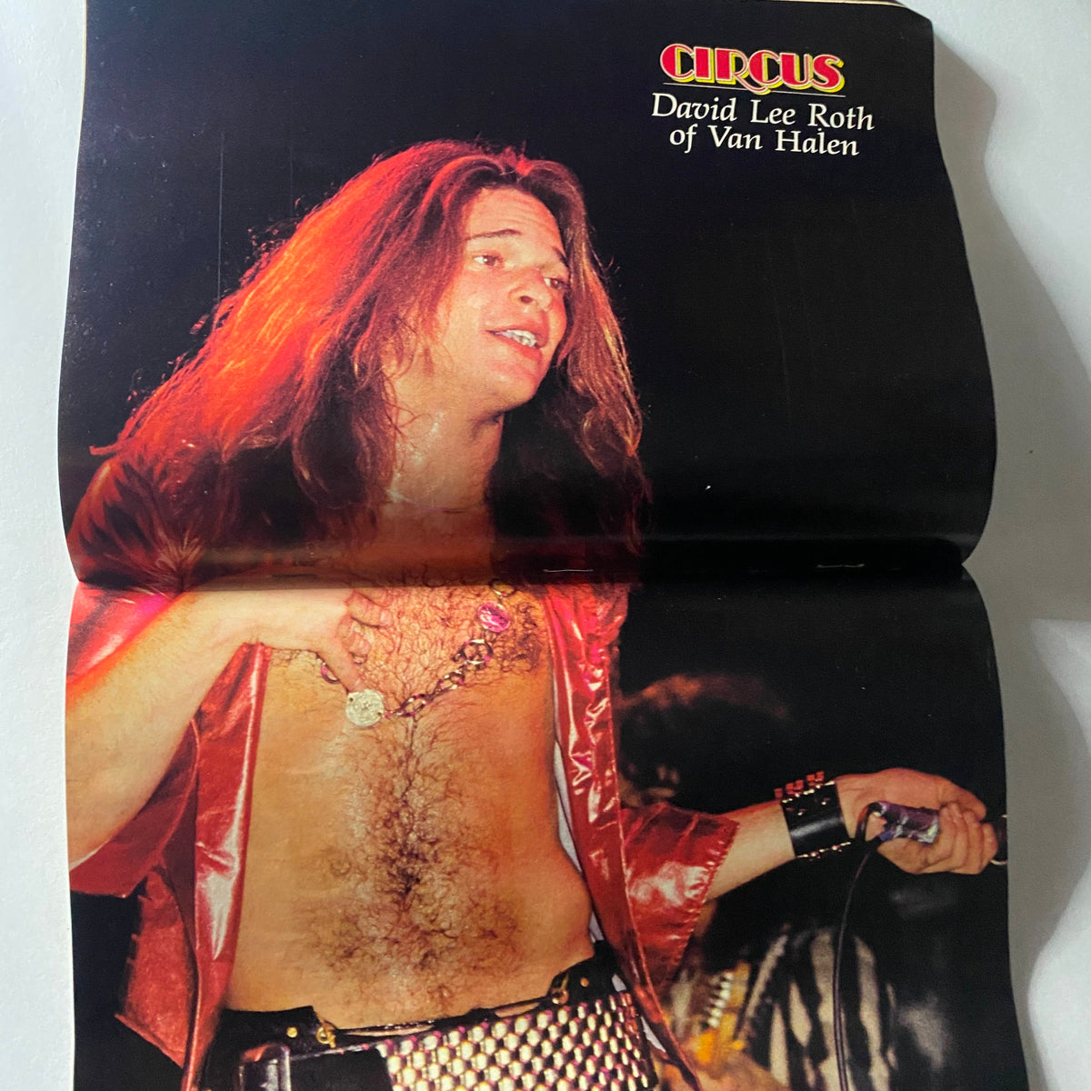 Color poster of David Lee Roth from Van Halen included in VTG Circus Magazine August 3 1978, capturing the vibrant energy of rock music in the late 1970s.