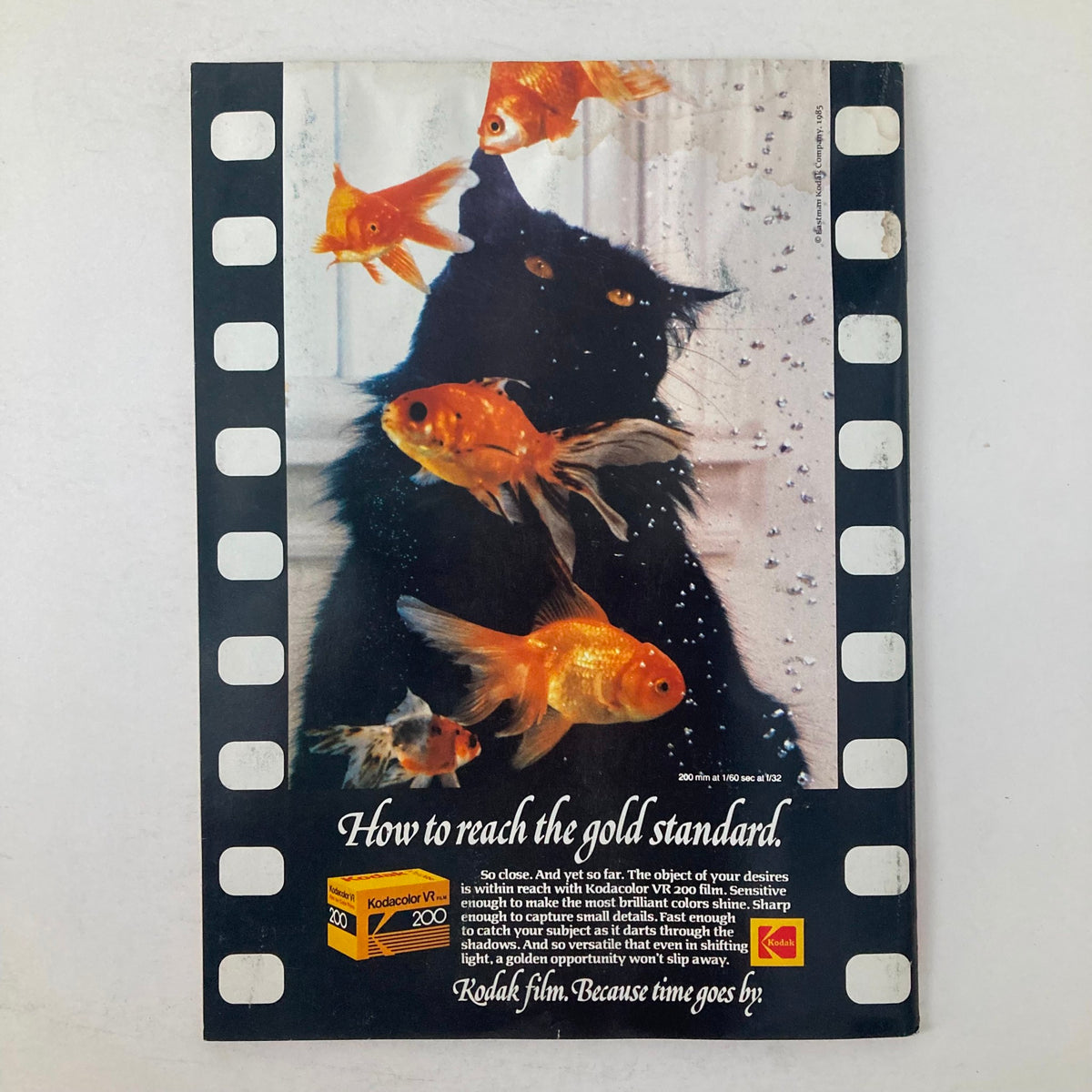 Back cover of American Photographer Magazine June 1985 showcasing a creative Kodak advertisement featuring a black cat and goldfish, emphasizing photography's capability in capturing vibrant colors.