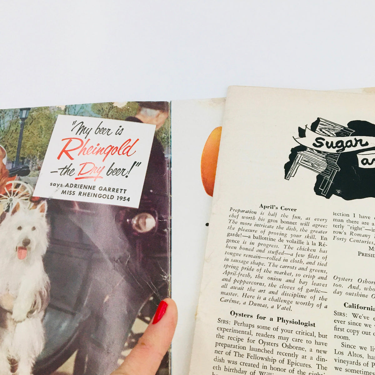 Gourmet Magazine April 1954 Vol 14 #4 depicting a vintage advertisement for Rheingold Beer, featuring Miss Rheingold 1954, merging culinary trends with beer promotion in the 1950s.