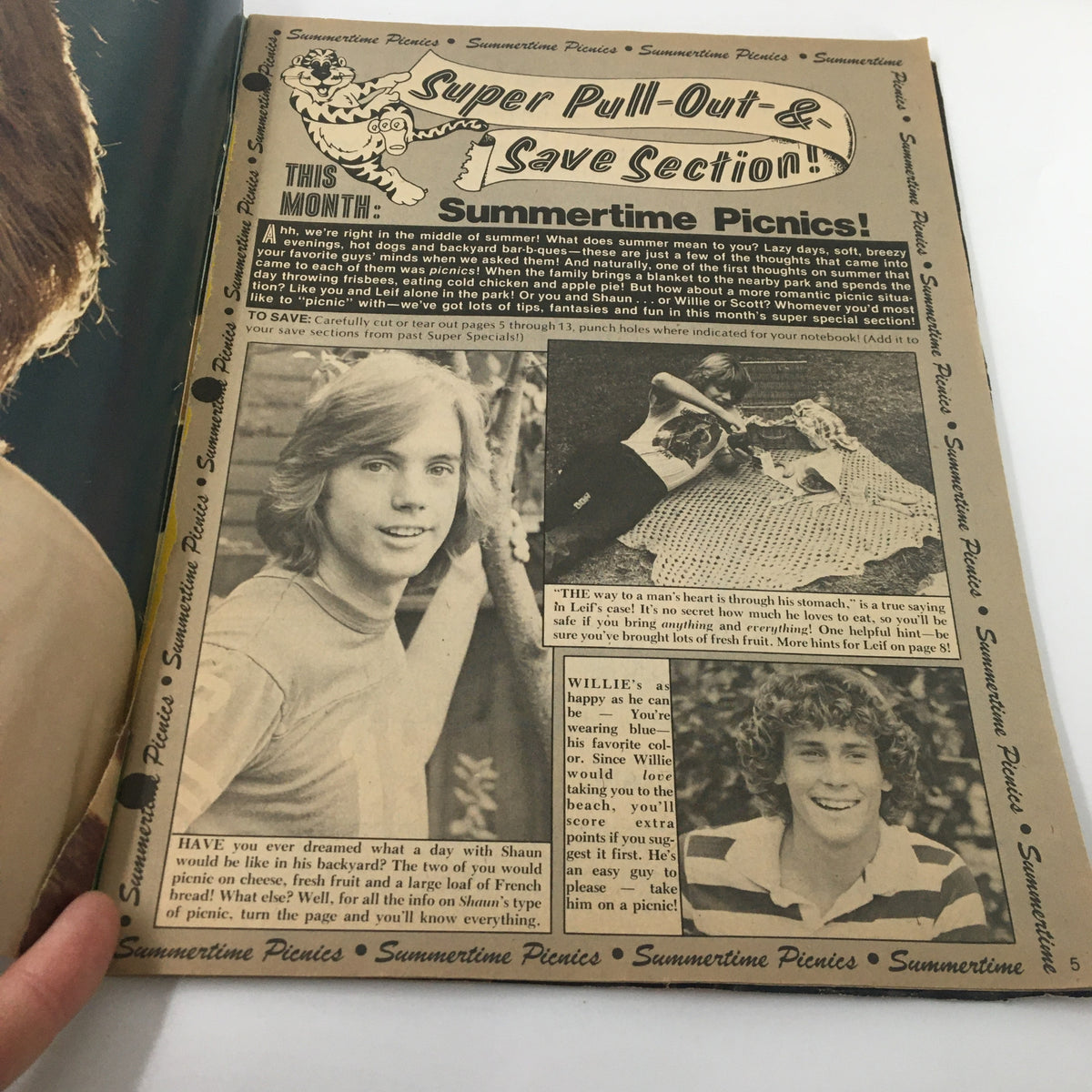 Inside page of the August Tiger Beat Magazine showcasing a Super Pull-Out & Save Section titled 'Summertime Picnics!', featuring a photo of Shaun Cassidy and content related to summer activities and teen idols.