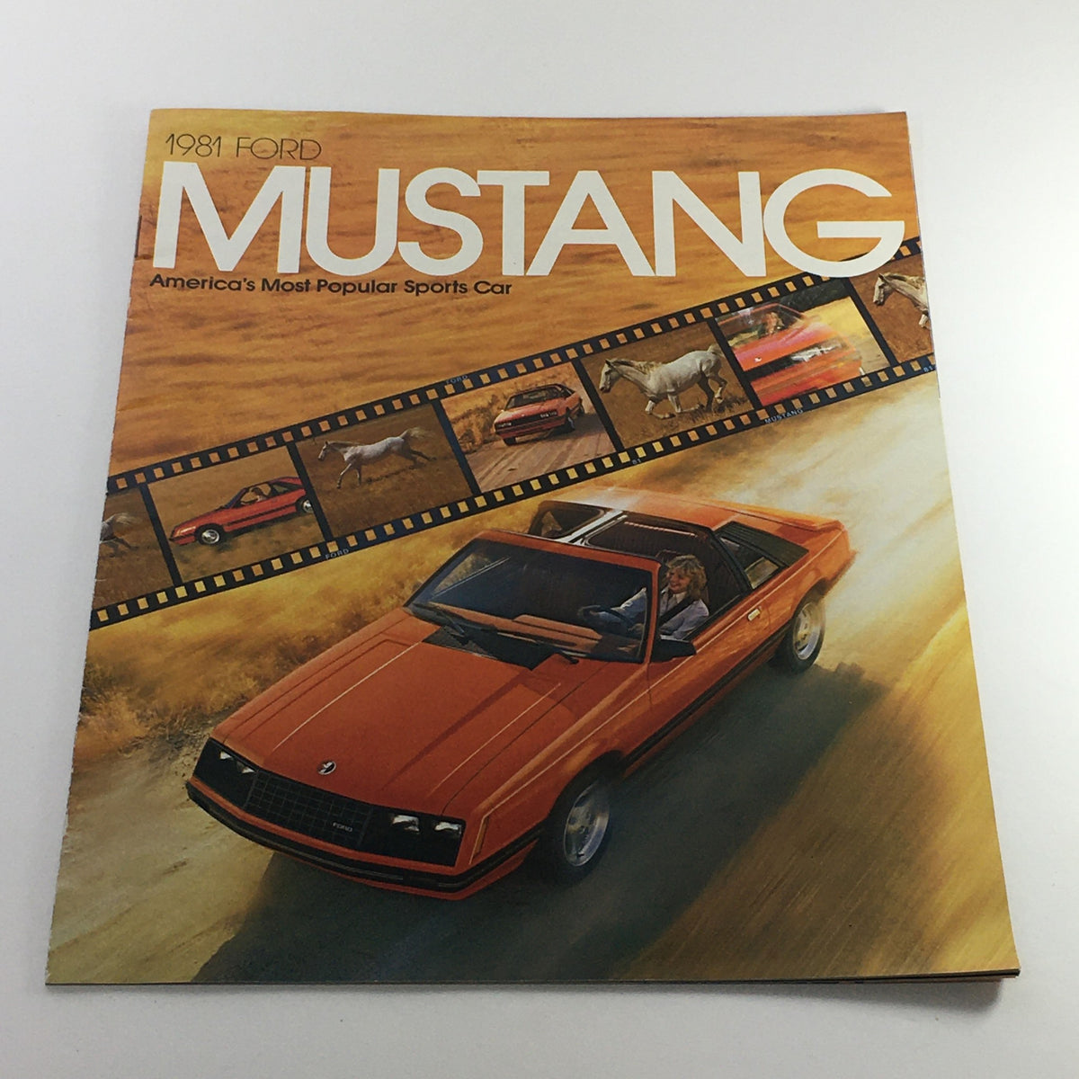 1981 Ford Mustang Sports Car Dealership Car Auto Brochure Catalog cover featuring a vibrant orange Mustang driving on a scenic road with a golden background.