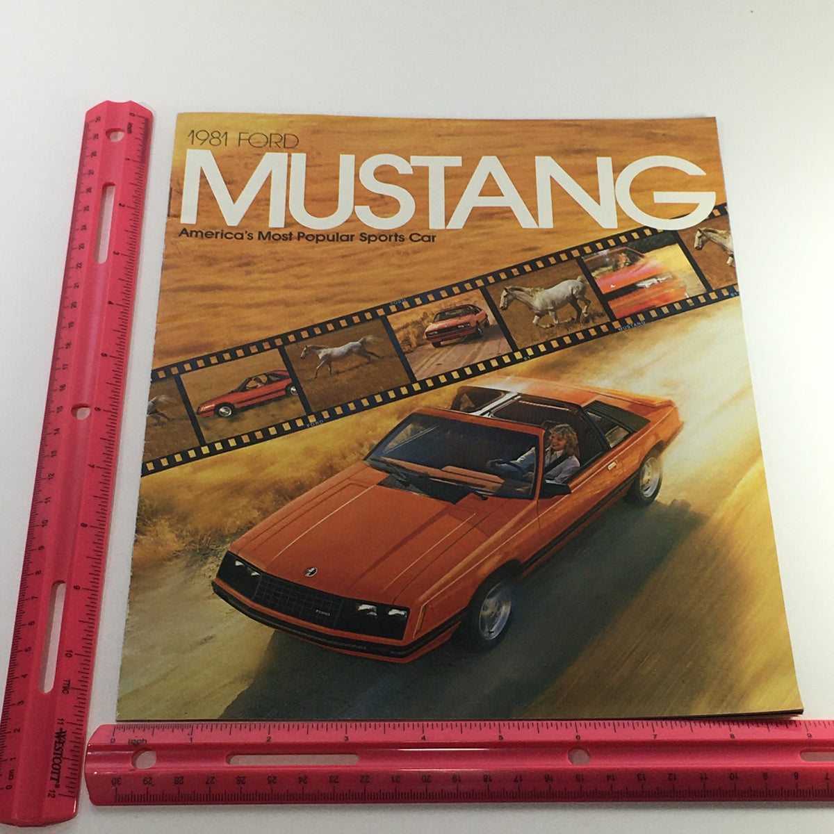 Cover of the 1981 Ford Mustang Sports Car Dealership Car Auto Brochure Catalog featuring an orange Mustang on a scenic road with promotional text.
