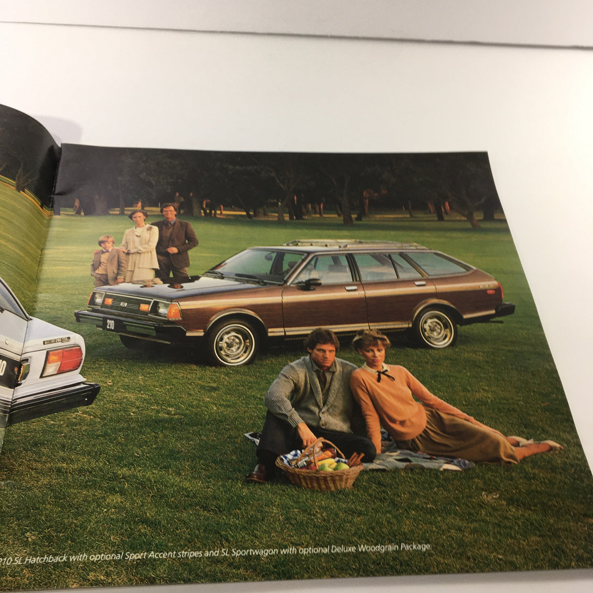 Image from the 1980 Datsun Quality Shows Dealership Car Auto Brochure Catalog depicting a family picnic scene with a Datsun station wagon in a park setting.