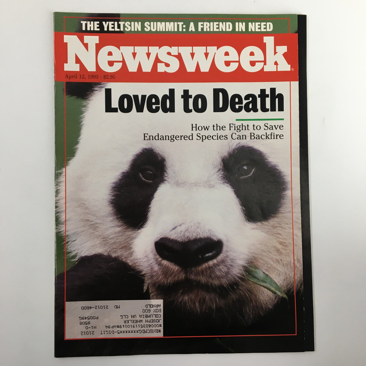 Cover of Newsweek Magazine from April 12, 1993, featuring the title 'Loved to Death' and an image of a giant panda, highlighting the challenges faced by endangered species.