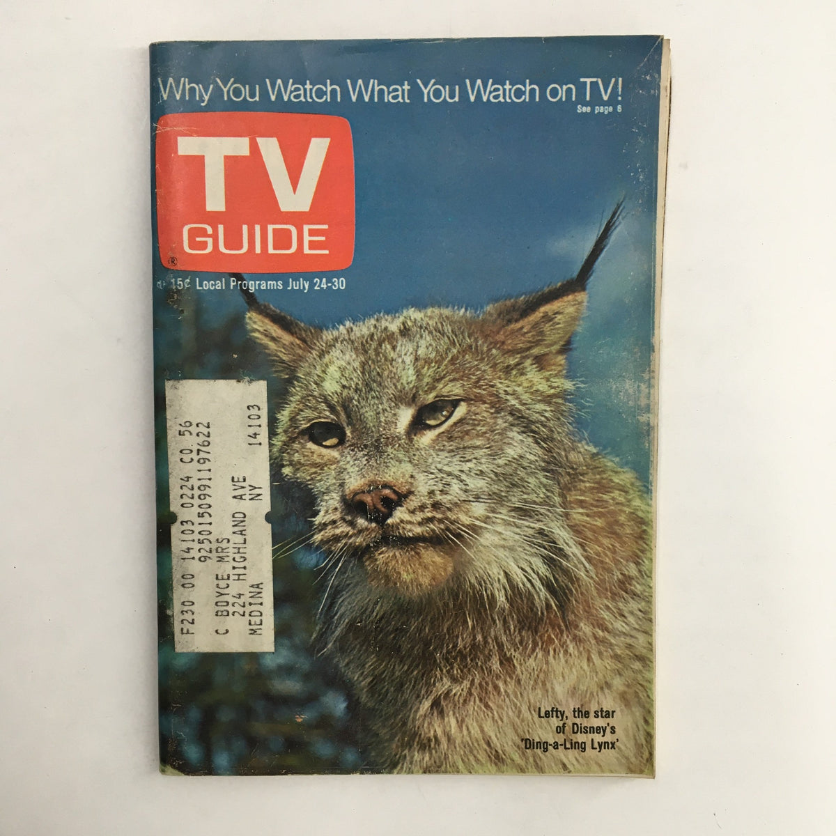 TV Guide Magazine July 24 1971 featuring a cover illustration of a lynx, by Walt Disney. The magazine highlights local TV programs for the week of July 24-30.