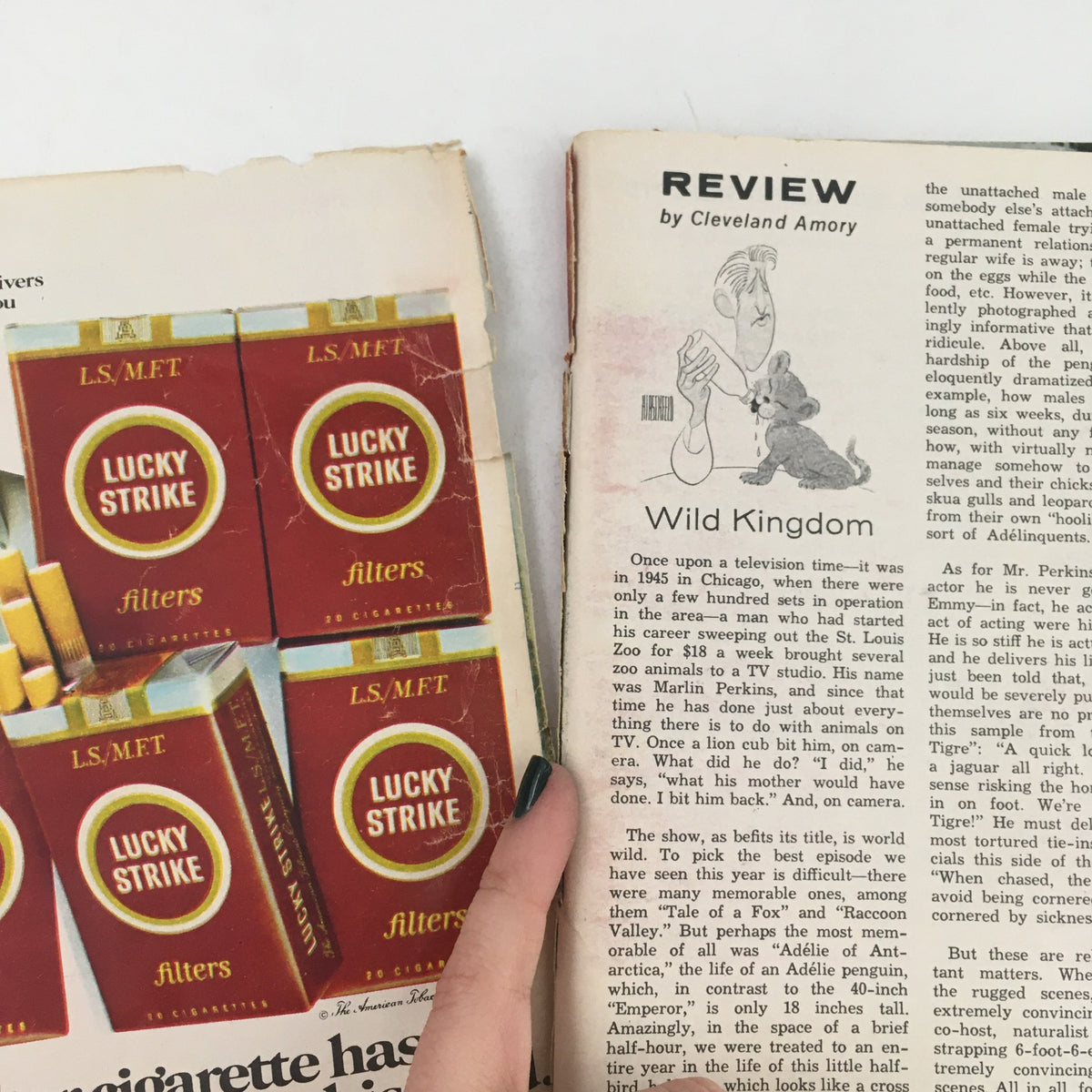 Review page from TV Guide April 8 1967 highlighting Wild Kingdom and featuring Lucky Strike advertisement.