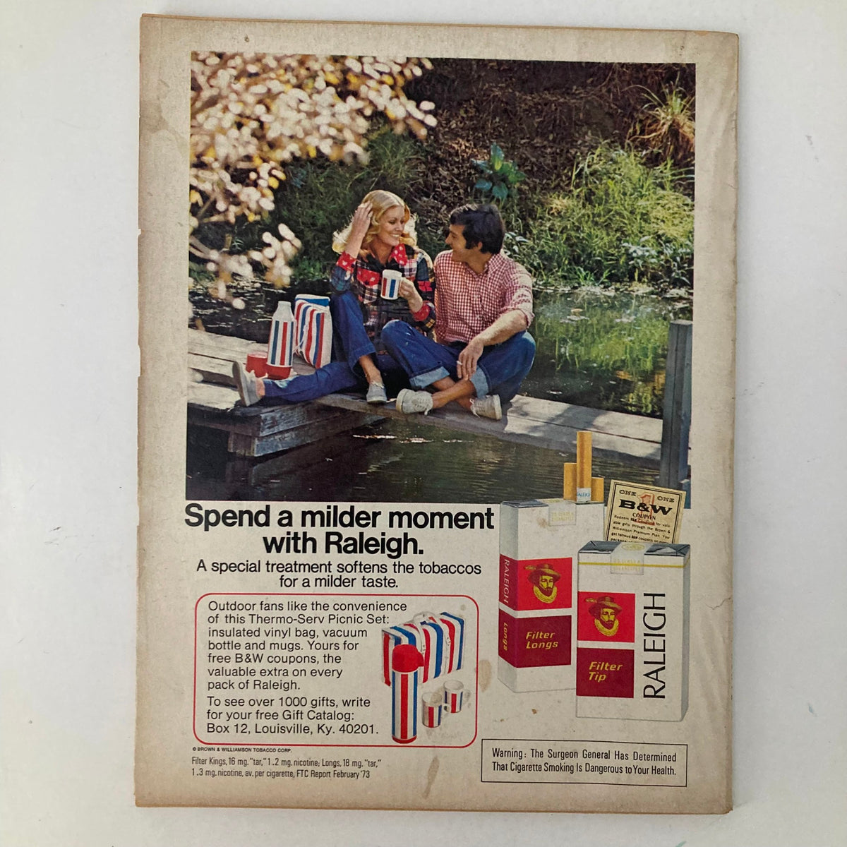 Back cover of VTG Photoplay Magazine August 1973 promoting Raleigh cigarettes with an outdoor picnic scene featuring a couple.