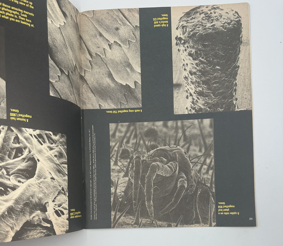 Interior page of Bananas Magazine No. 32 with detailed images and scientific text, illustrating various microscopic images related to biology.