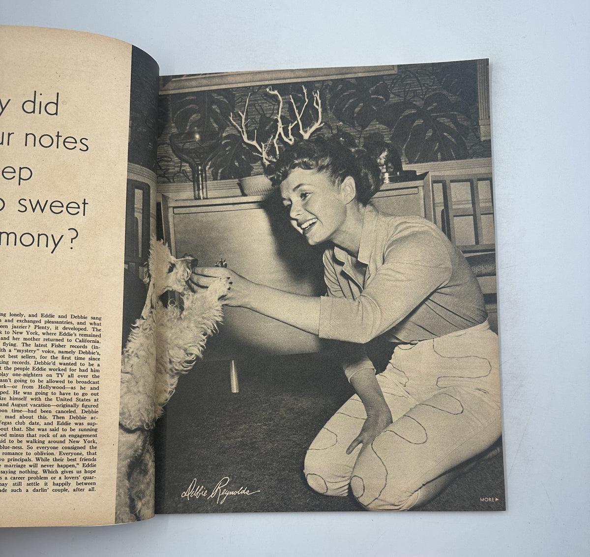 A vintage photograph from Screen Album Magazine August 1955 featuring a woman interacting with a small dog, reflecting the charm of mid-20th century celebrity culture.