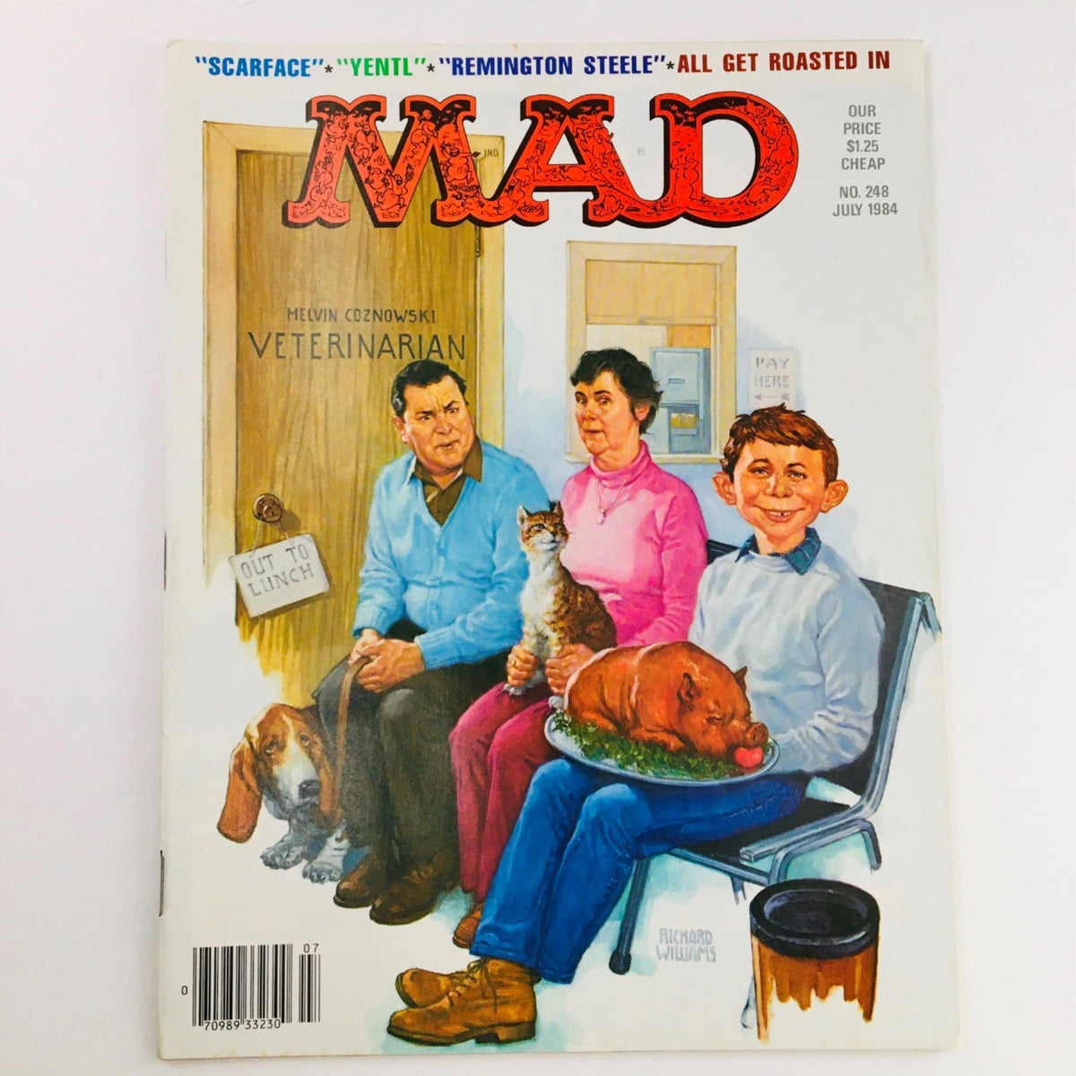 Cover of Mad Magazine July 1984 No. 248 featuring the humorous illustration 'Veterinarian Out To Lunch'. The cover shows characters in a waiting room with a dog and a cat, showcasing the magazine's signature satire.