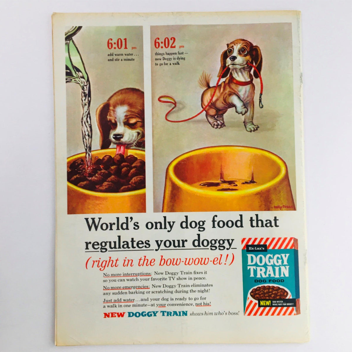 Back cover of Mad Magazine July 1962 No. 62 Special 10th Anniversary Issue showcasing an advertisement for Doggy Train dog food, illustrating a dog and food preparation steps.