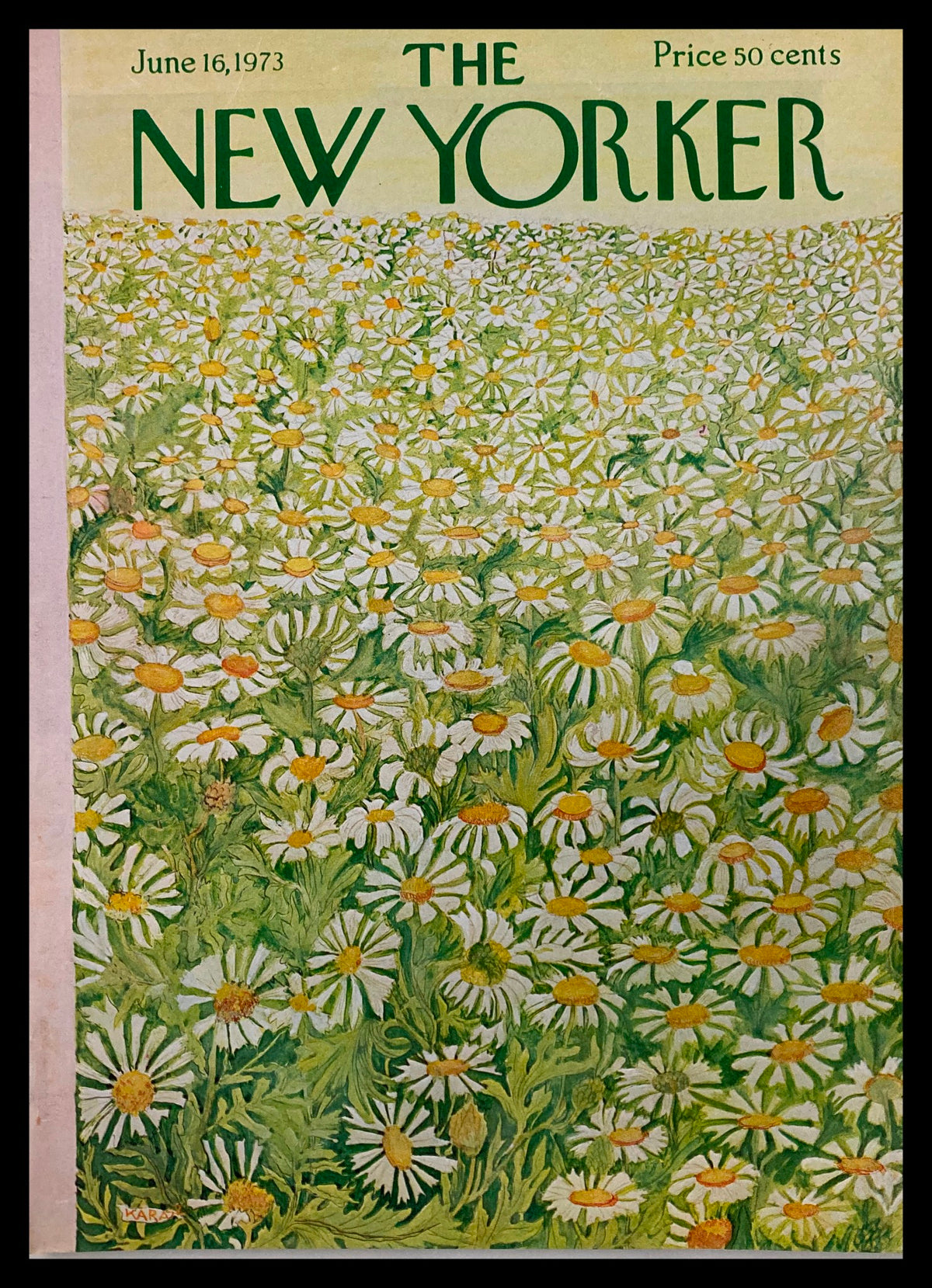 Cover of The New Yorker magazine from June 16, 1973, featuring a vibrant illustration of daisy fields by Ilonka Karaz. The cover displays an array of white daisies with yellow centers against a lush green background, showcasing the serene beauty of nature.