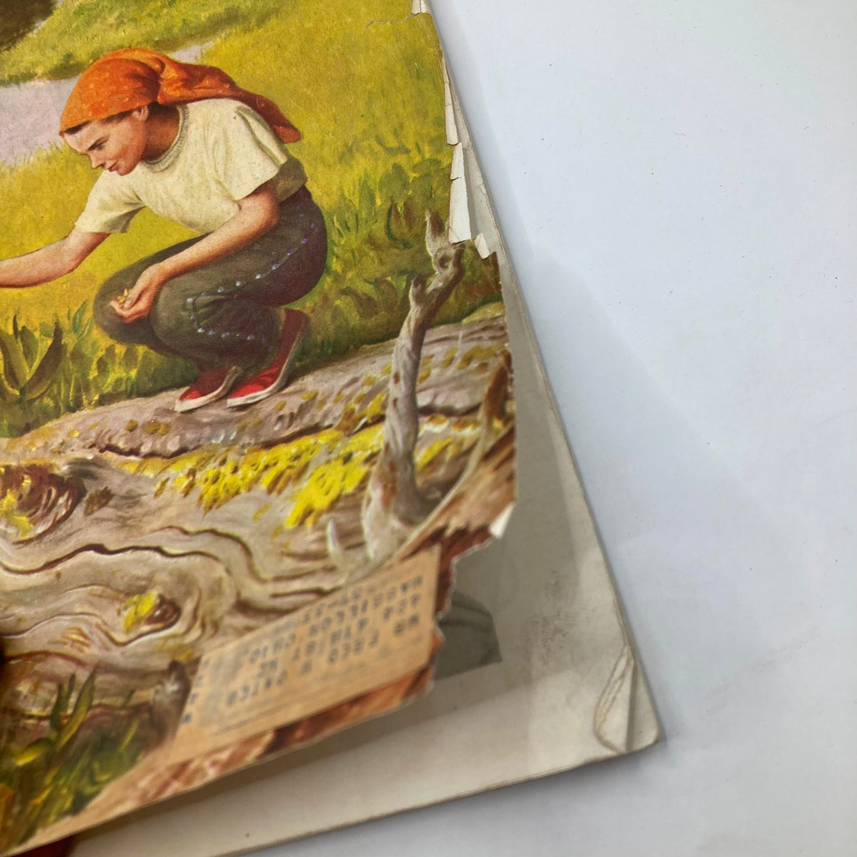Close-up view of the cover art from Saturday Evening Post Magazine May 16, 1953, showcasing 'Big Western Hills' by John Clymer, featuring a boy interacting with nature in a vibrant setting.