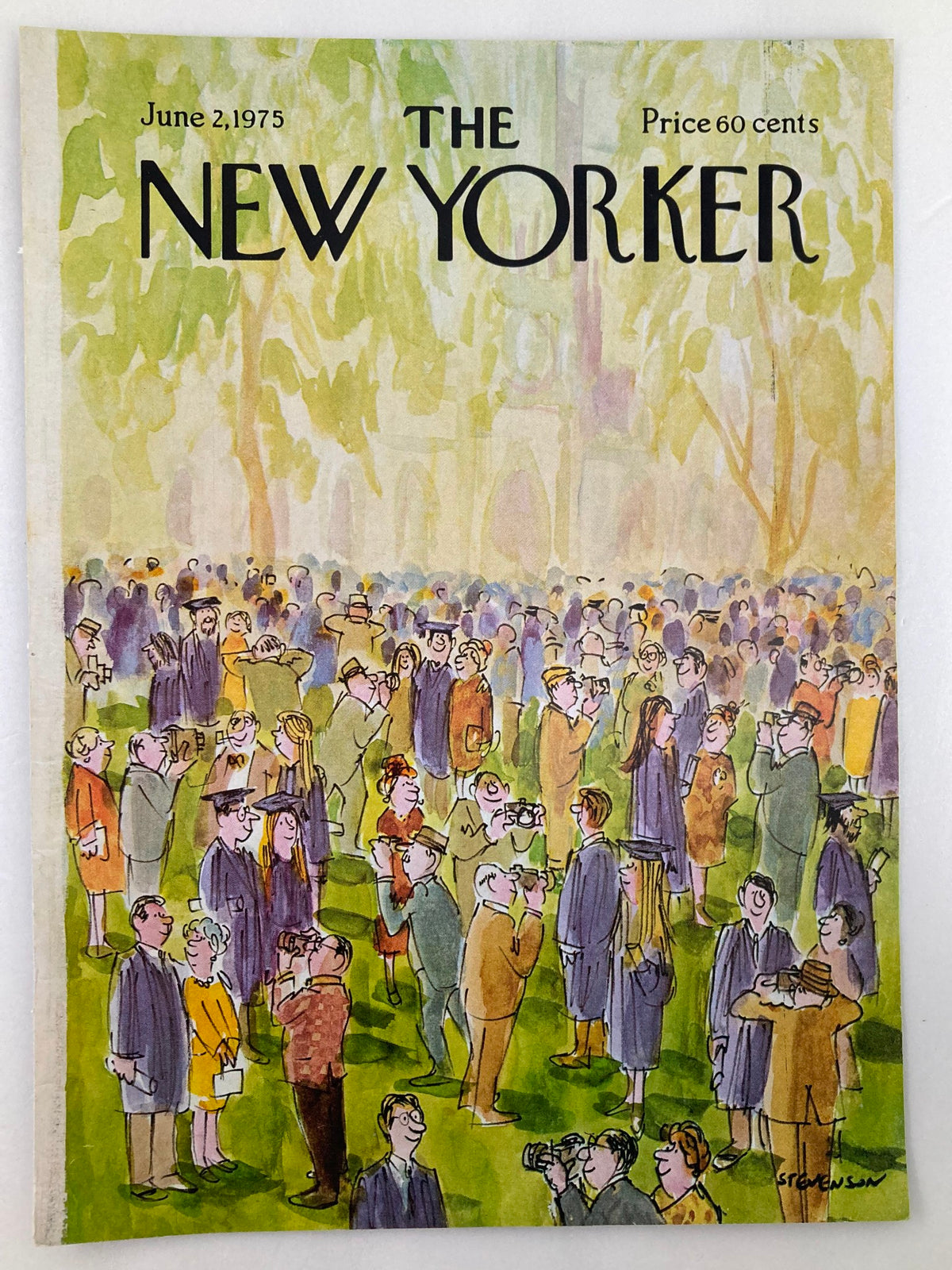 COVER ONLY The New Yorker June 2, 1975 Get-Together by James Stevenson, showcasing a lively outdoor scene filled with people, ideal for those interested in retro art and magazine memorabilia.
