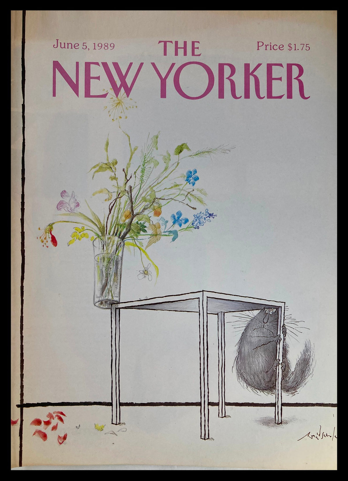 Cover of The New Yorker June 5, 1989, featuring the illustration 'On The Edge' by Ronald Searle, displaying a humorous scene with a cat hiding under a table beside a vase of flowers.