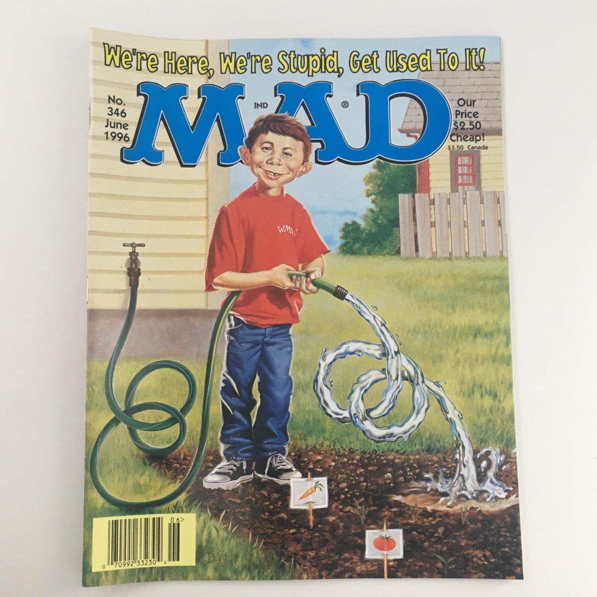 Cover of Mad Magazine June 1996 No. 346 We're Here, We're Stupid featuring a young boy watering plants with a hose, showcasing the iconic humor and cover art of this vintage issue.