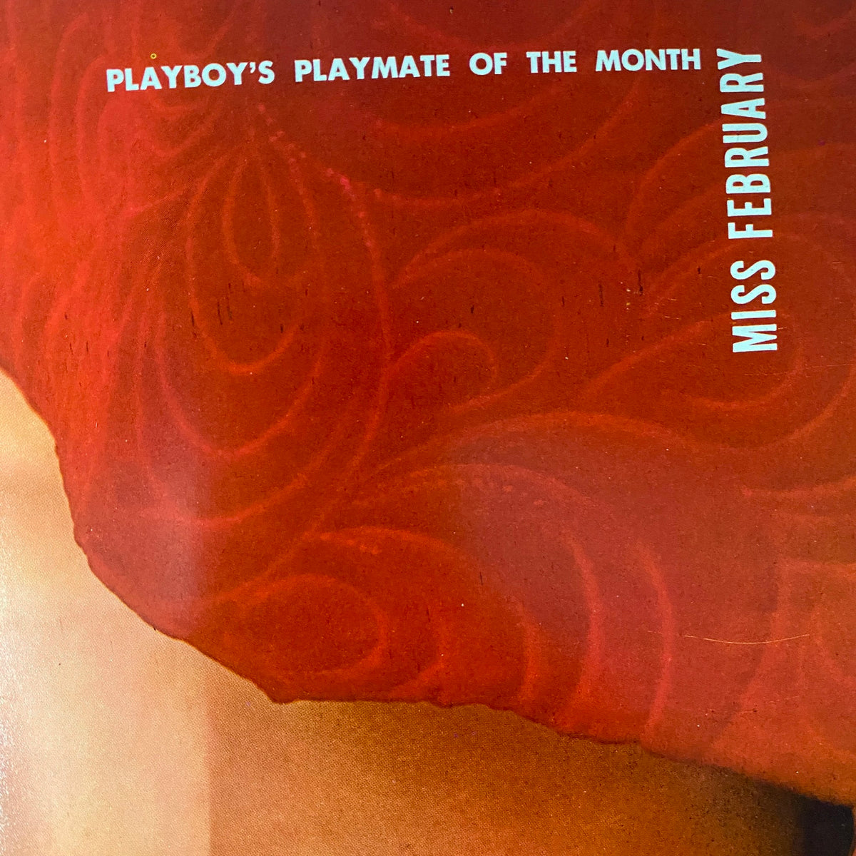 Cover of Playboy Magazine February 1969 featuring Lorrie Menconi as Playmate of the Month, showcasing vibrant red design and iconic typography.