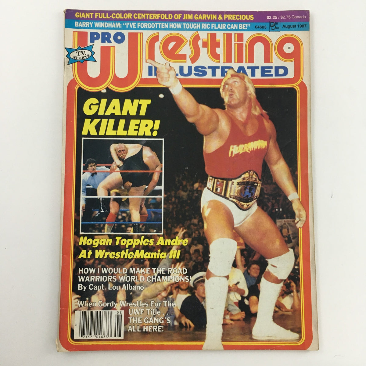 Pro Wrestling Illustrated Magazine August 1987 featuring Hulk Hogan vs Andre The Giant on cover, showcasing Hogan in action with the title 'GIANT KILLER!'.