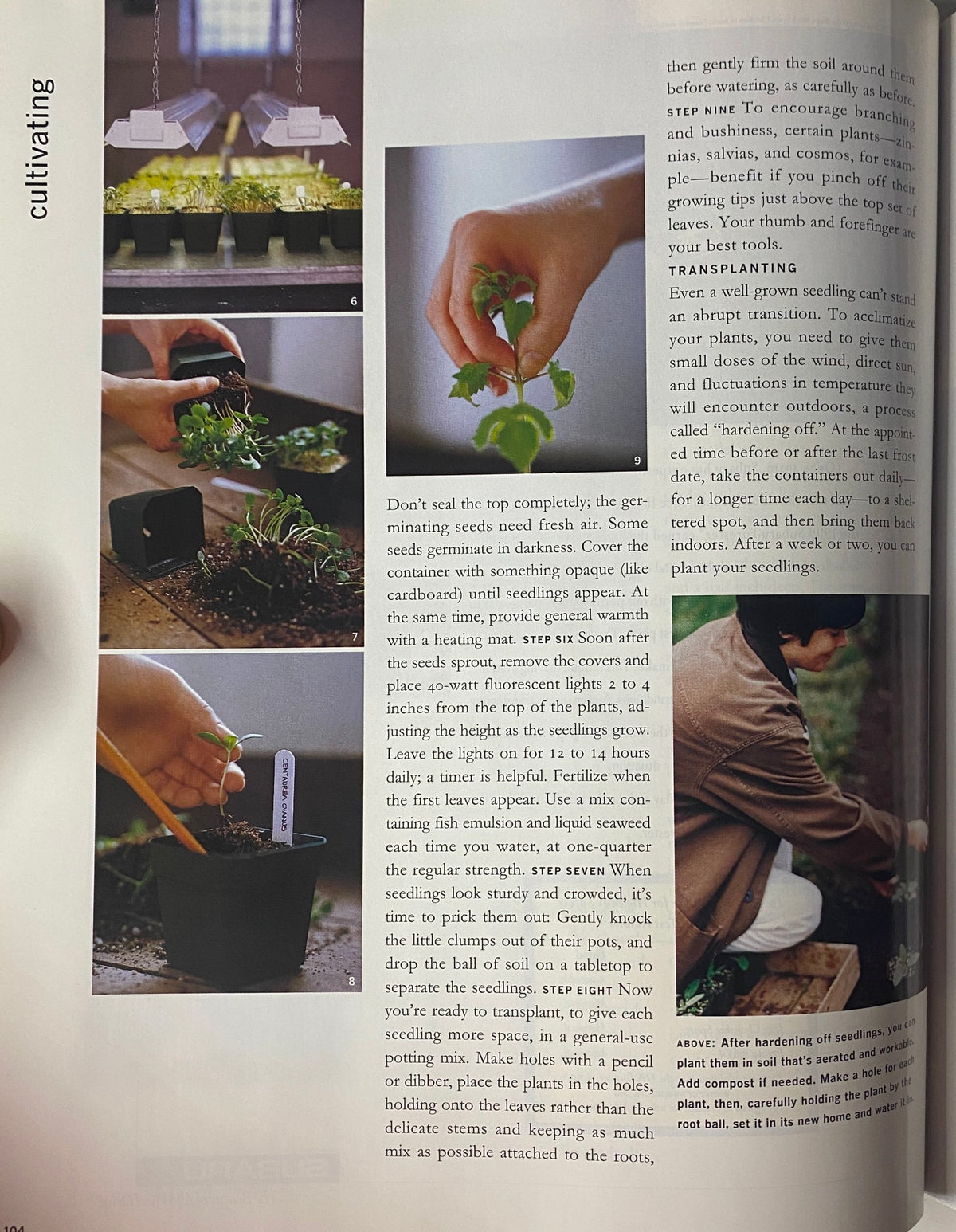 Cultivating section from Martha Stewart Living Magazine March 1999 Special Gardening Issue, illustrating various planting techniques and tips for nurturing seedlings.