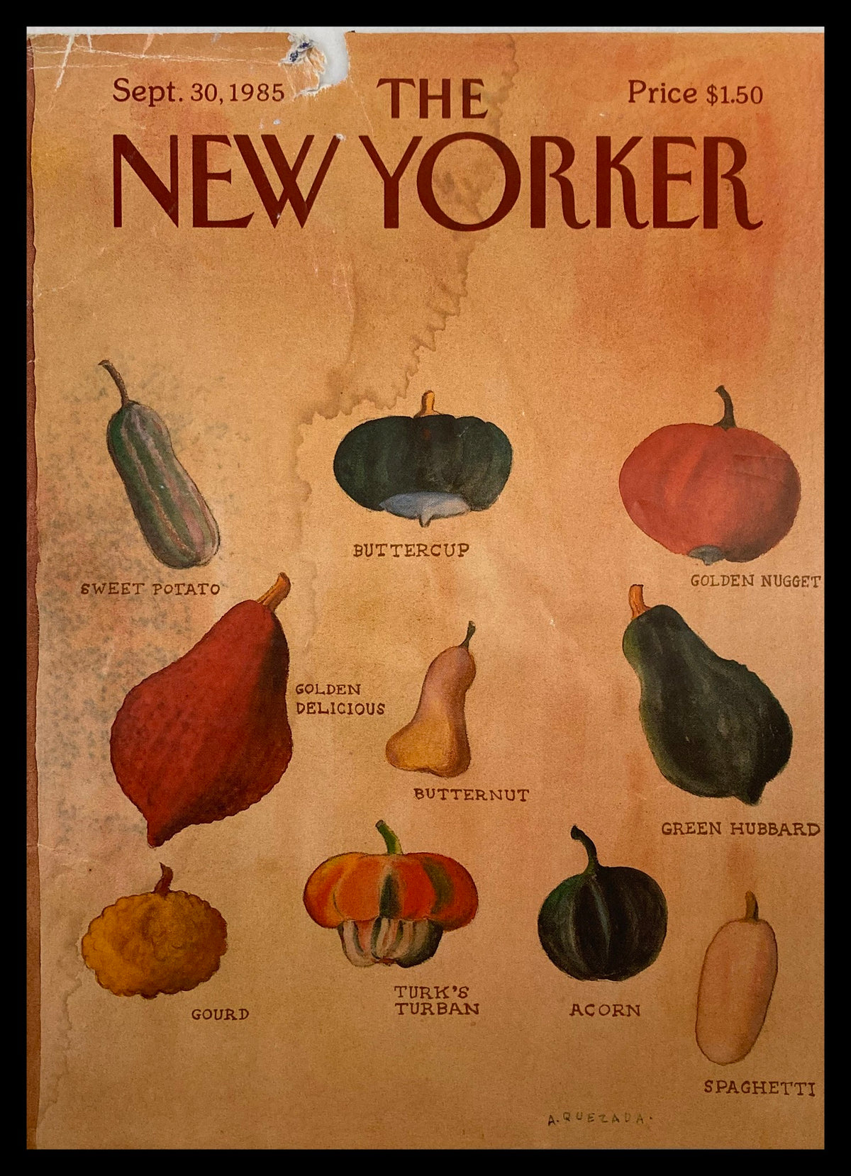 Cover of The New Yorker September 30, 1985, featuring an illustration by Quezada of various pumpkins and gourds. The title reads 'THE NEW YORKER' at the top, with a vintage aesthetic.