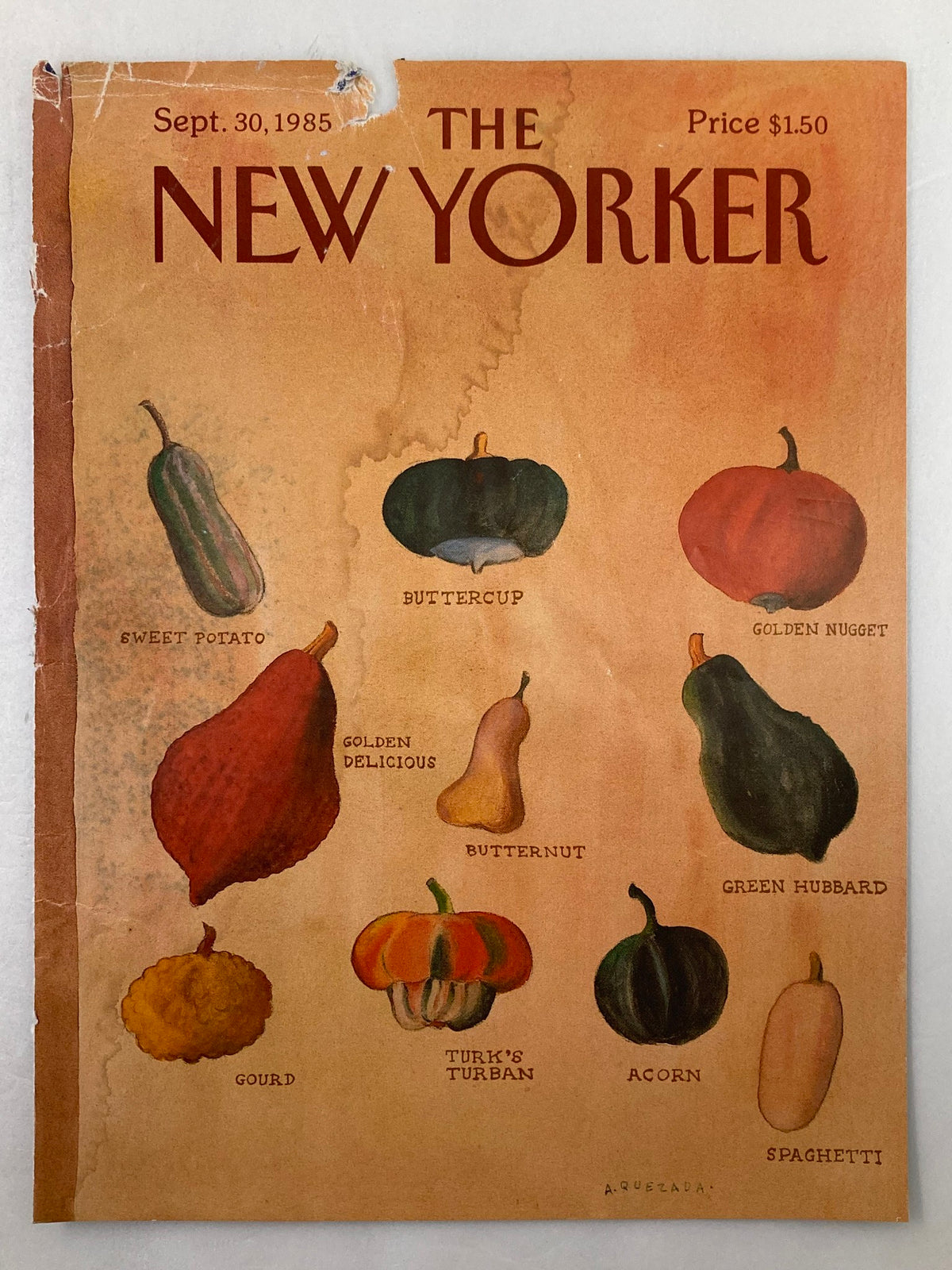 Cover of The New Yorker magazine dated September 30, 1985, featuring an illustration of various pumpkins labeled with names like Buttercup and Golden Delicious, showcasing vintage artwork by Quezada.