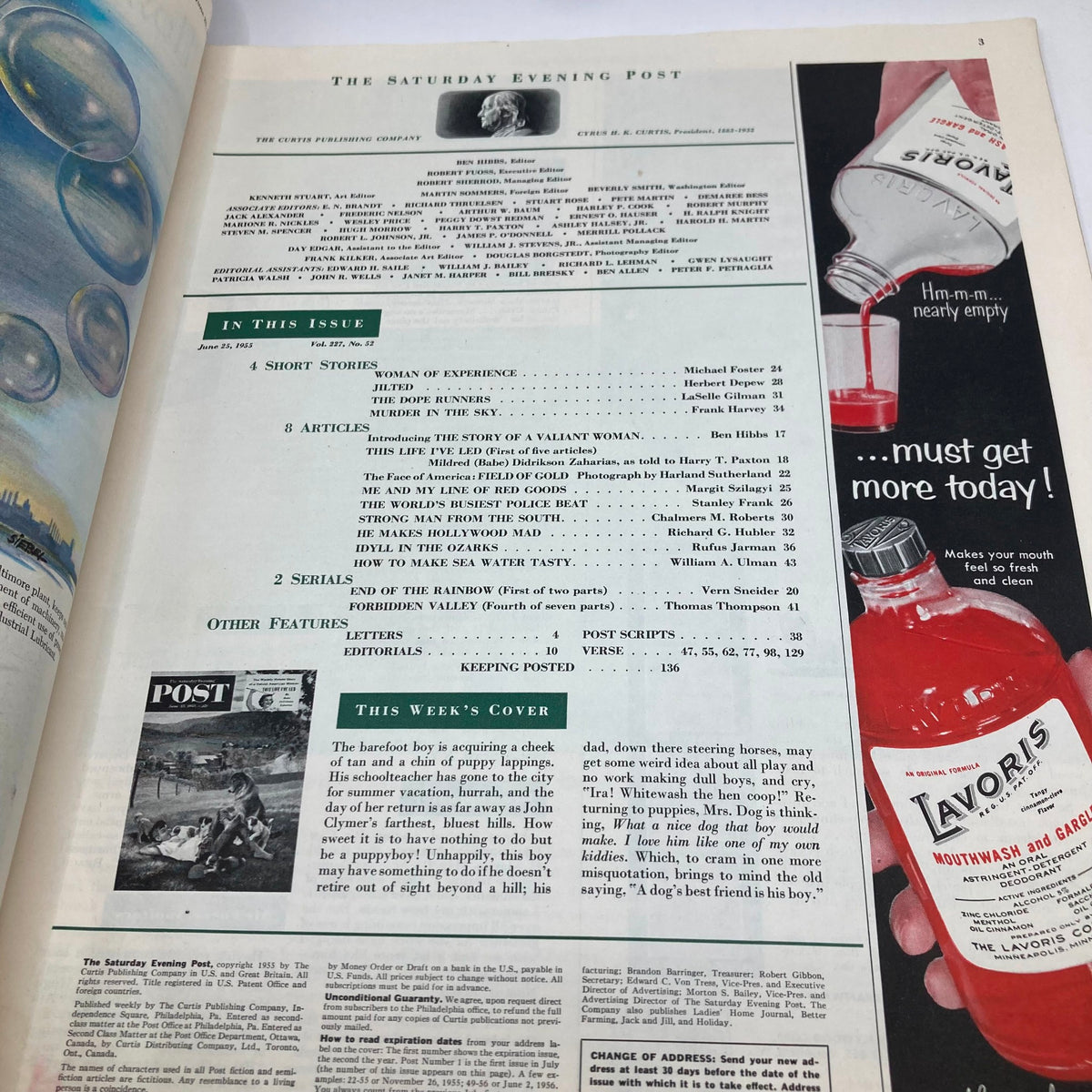 Inside page of Saturday Evening Post Magazine June 25 1955, showcasing the table of contents and an advertisement, with a feature on the magazine's cover illustration 'Barefoot Boy'.